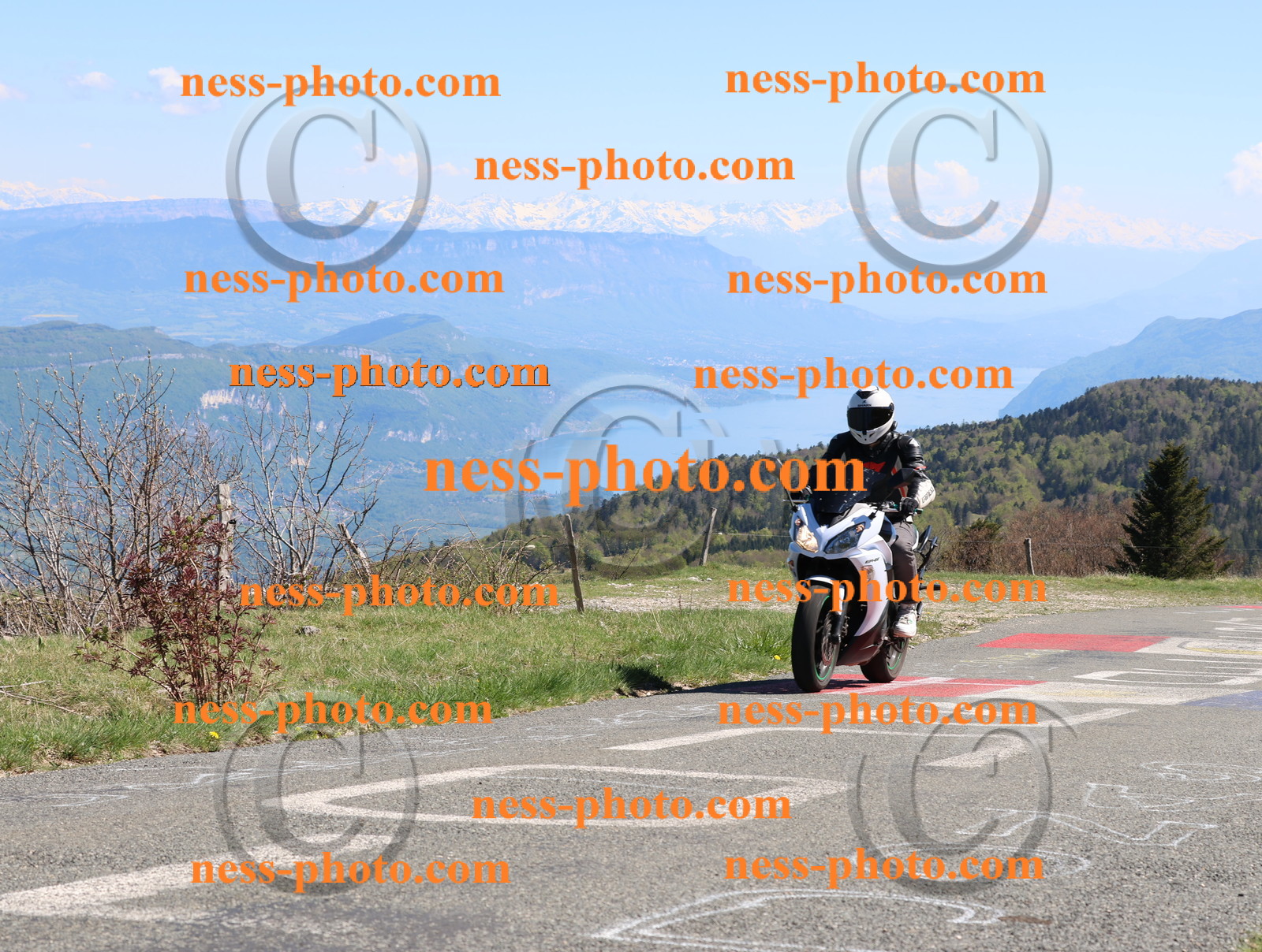 Col du Grand Colombier (329).JPG