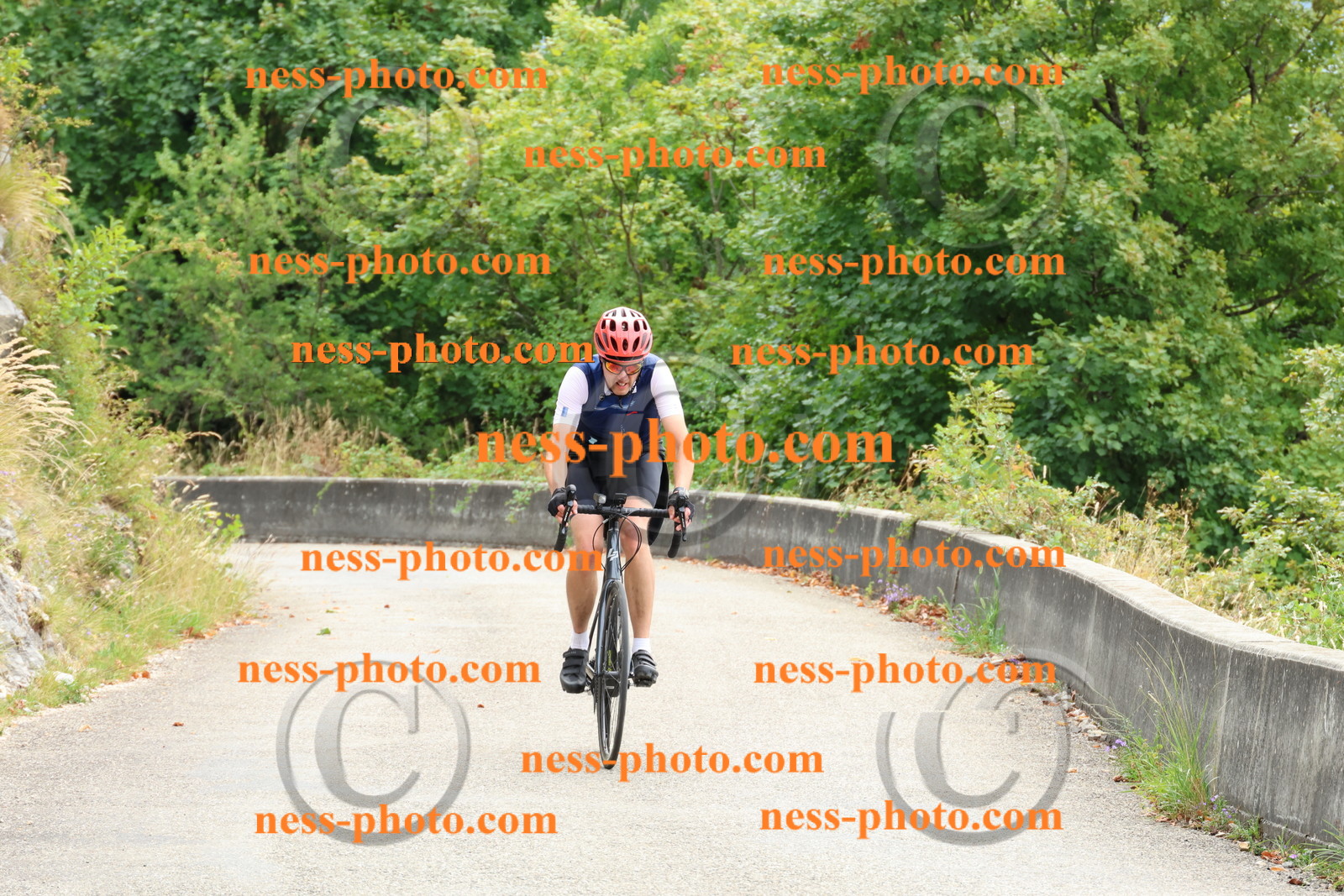 Col du Grand Colombier (95).JPG