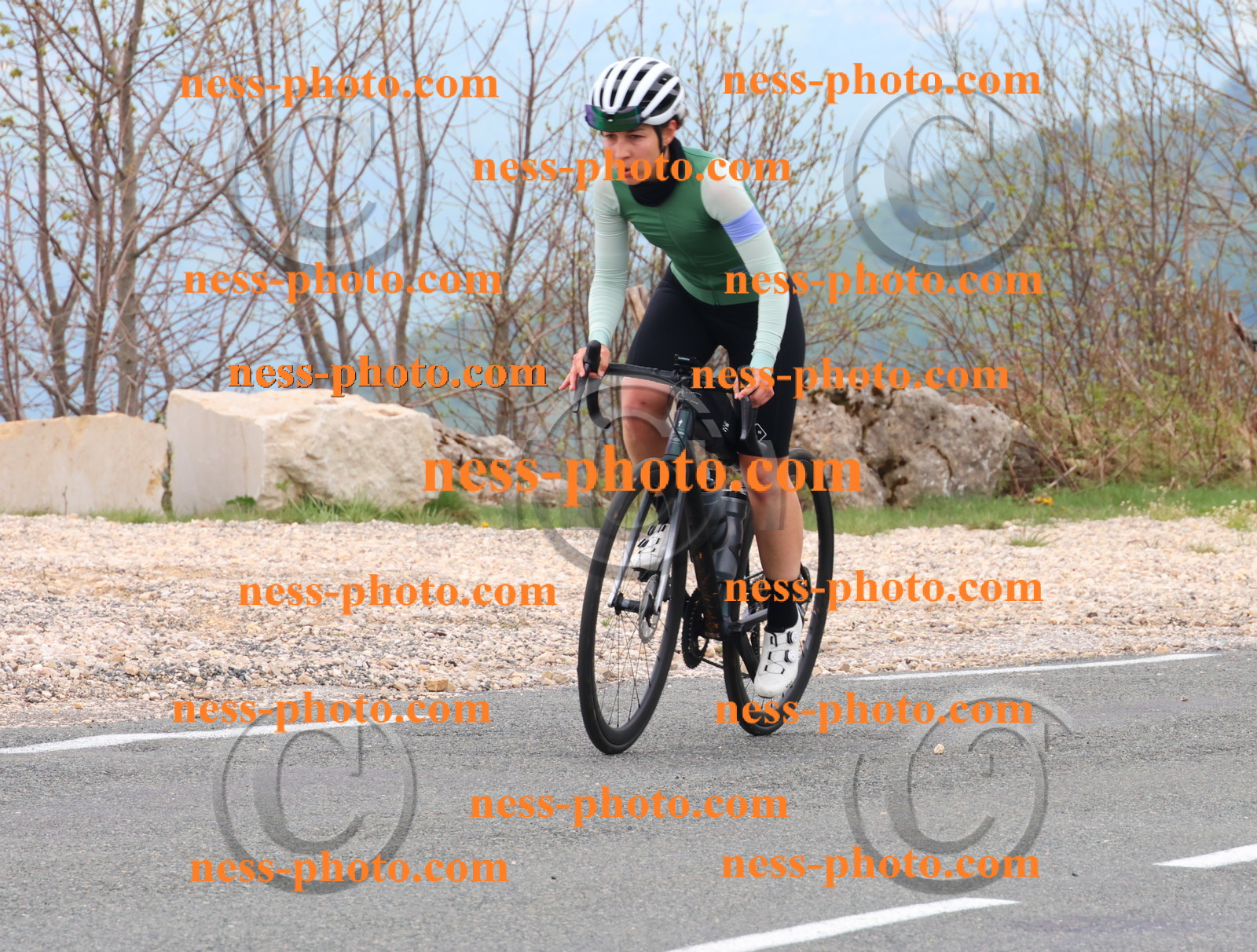 Col du Grand Colombier (267).JPG