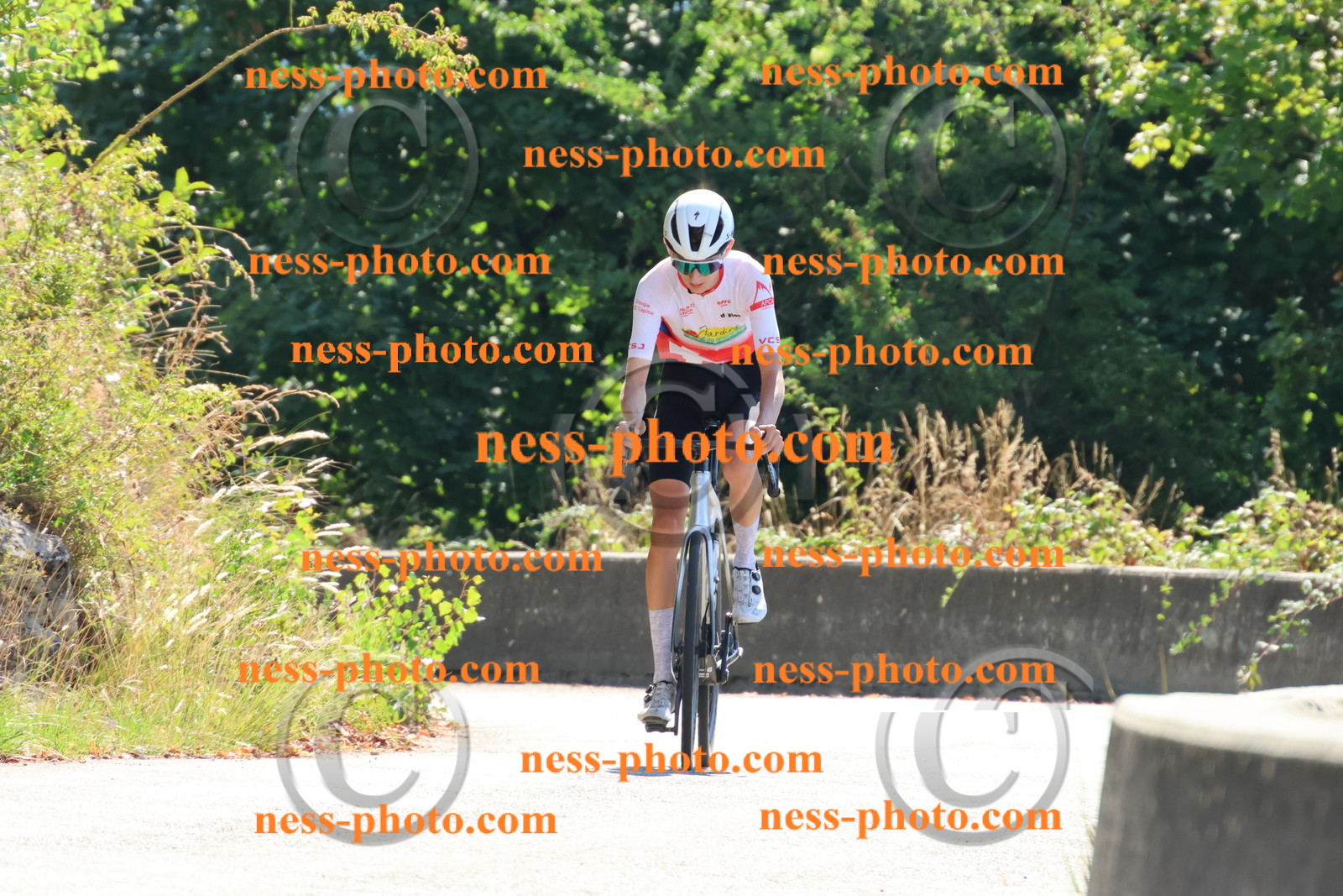 Col du Grand Colombier (50).JPG