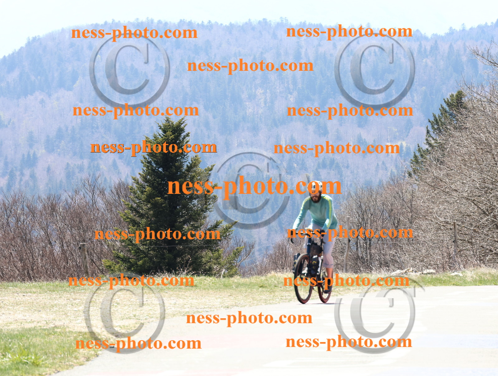 Col du Grand Colombier (265).JPG