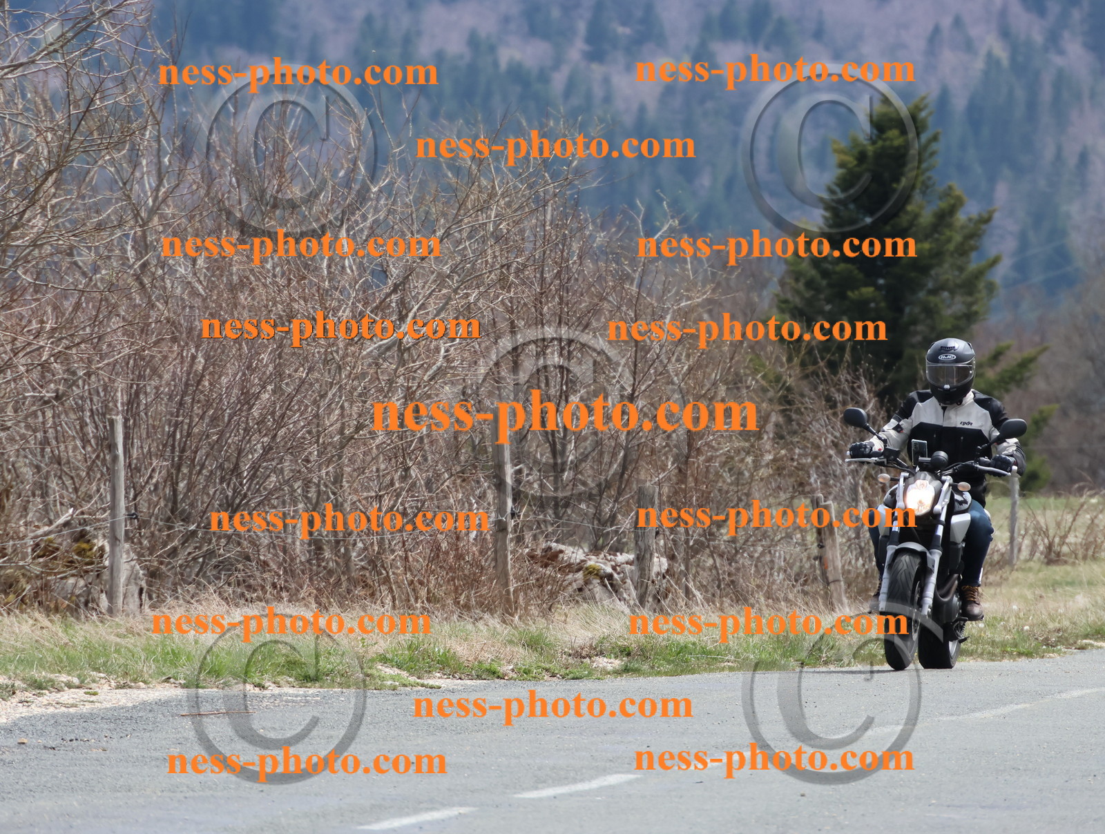 Col  du Grand Colombier (58).JPG