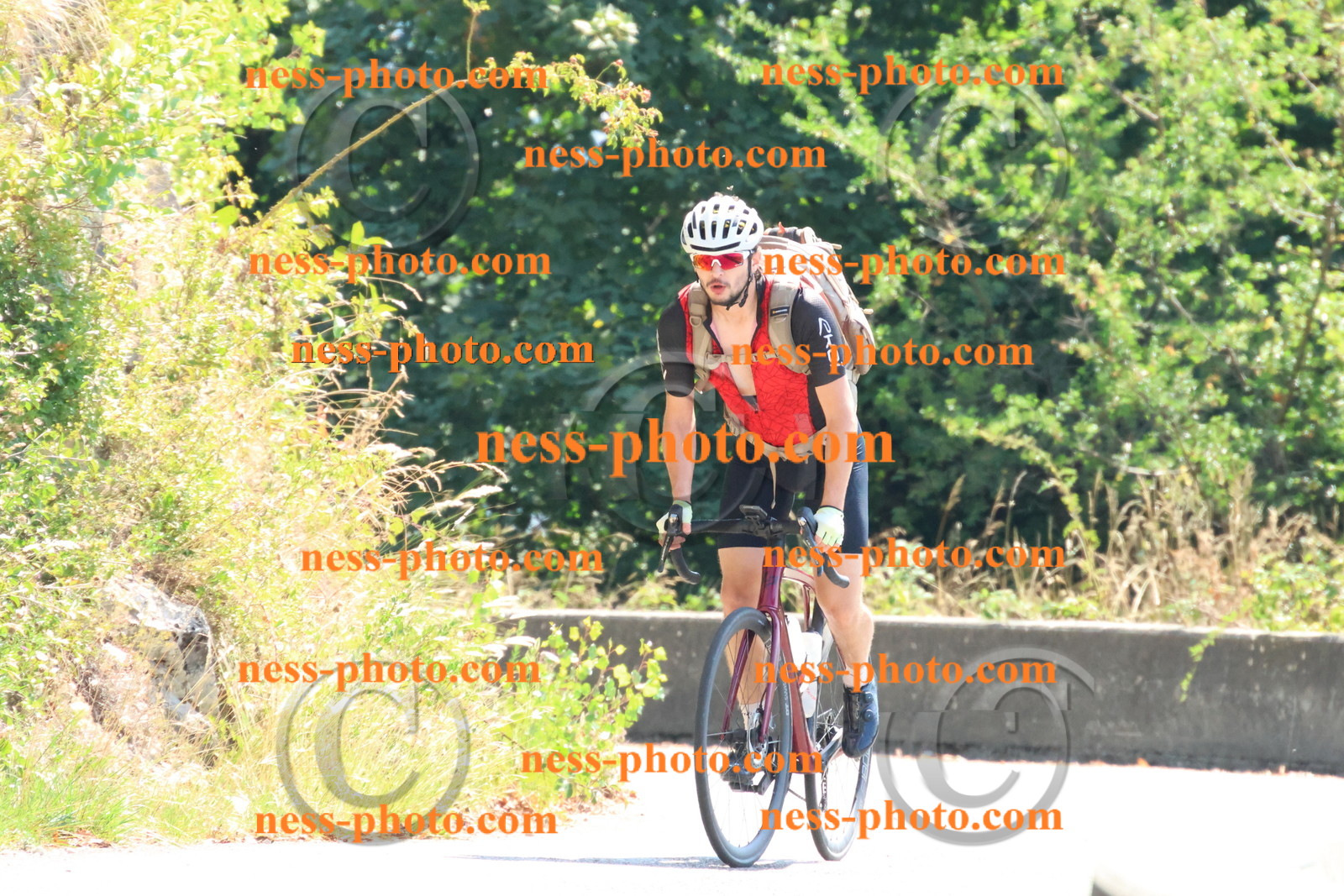 Col du Grand Colombier (279).JPG