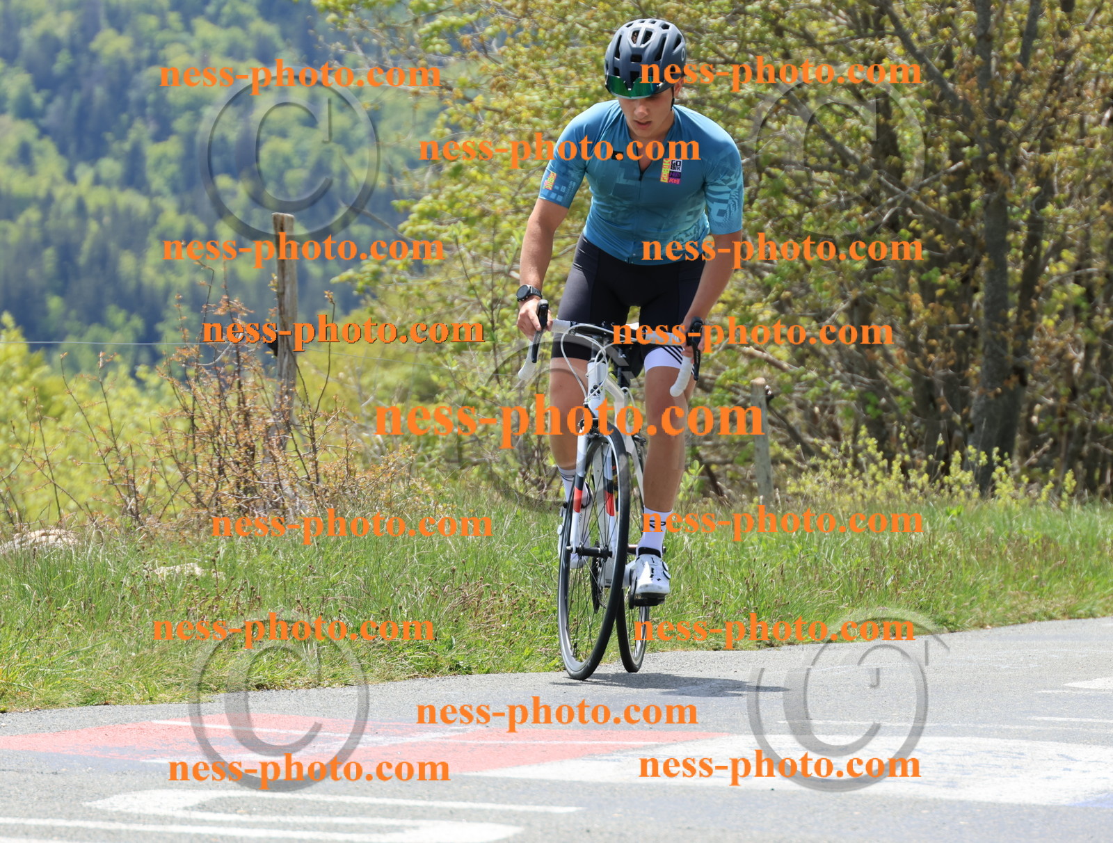 Col du Grand Colombier (351).JPG