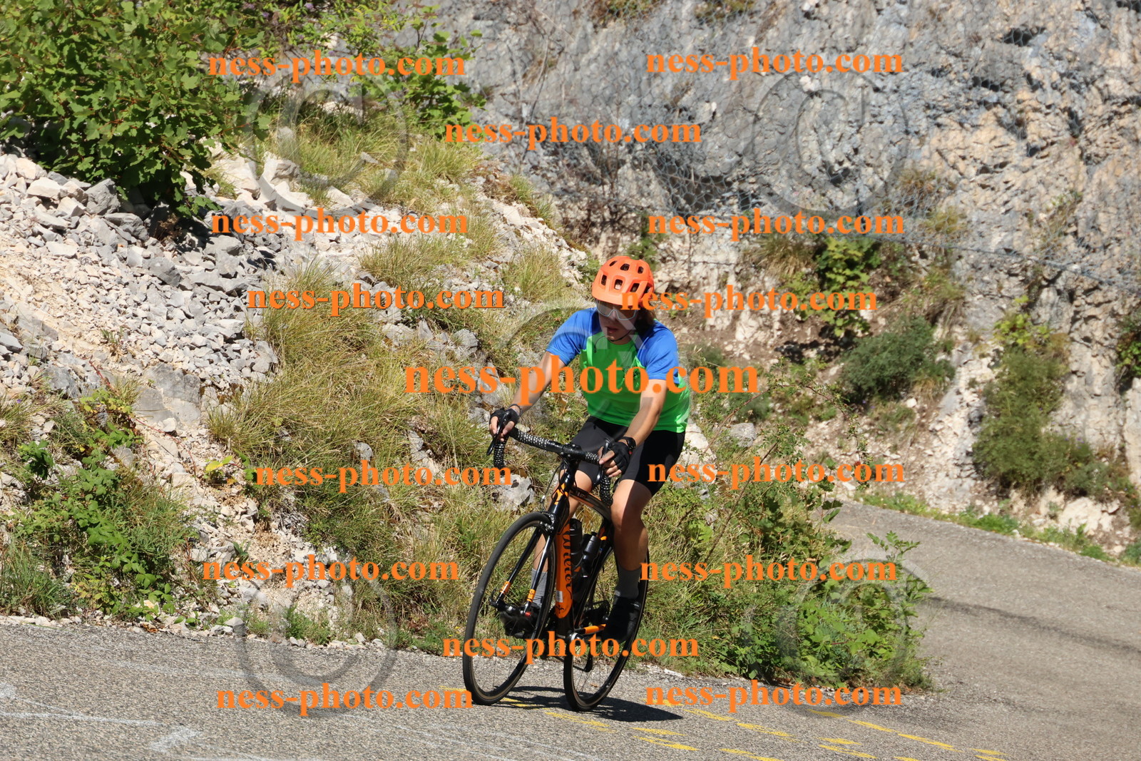 Col du Grand Colombier (178).JPG