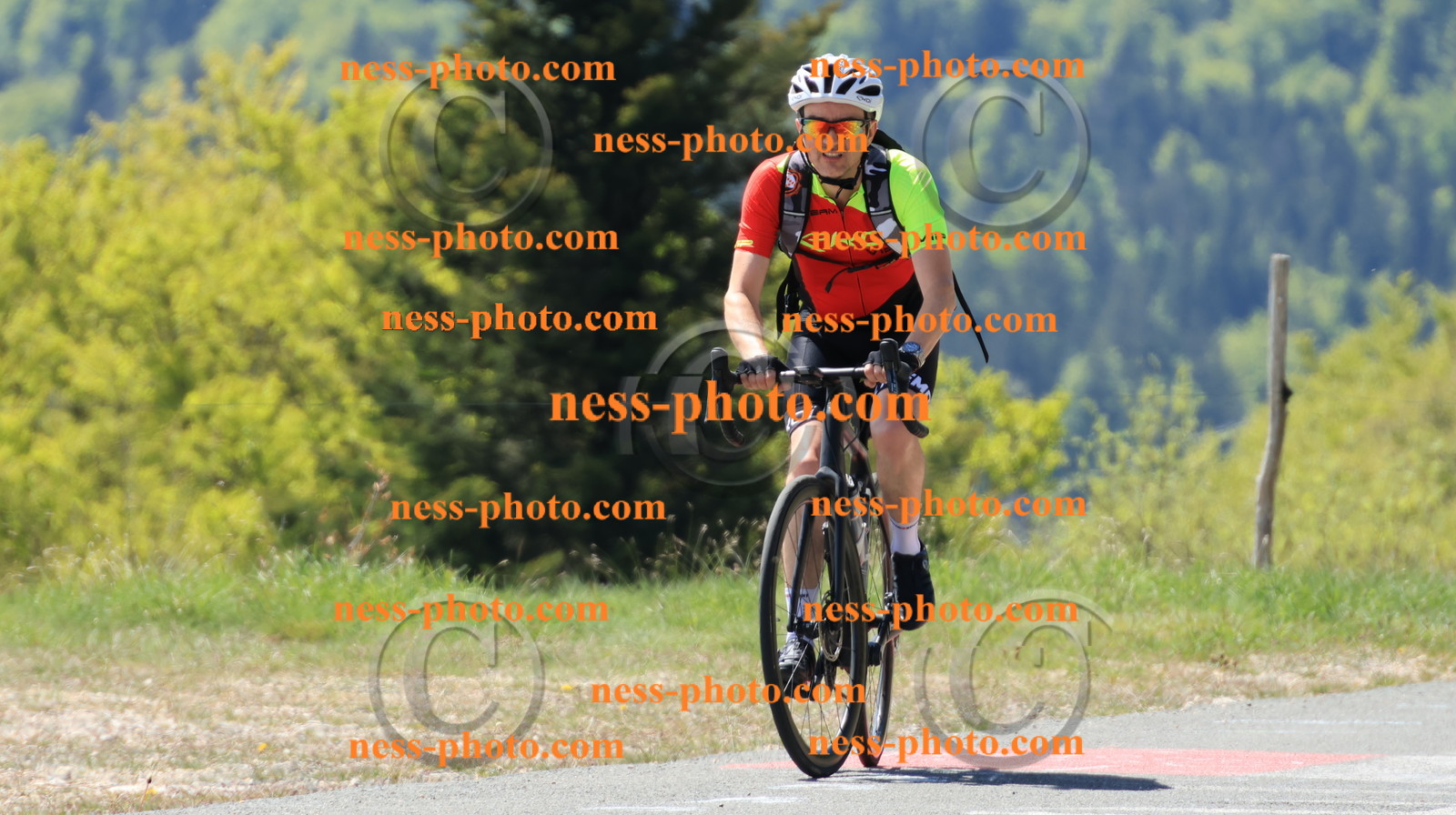 Col du Grand Colombier (61).JPG