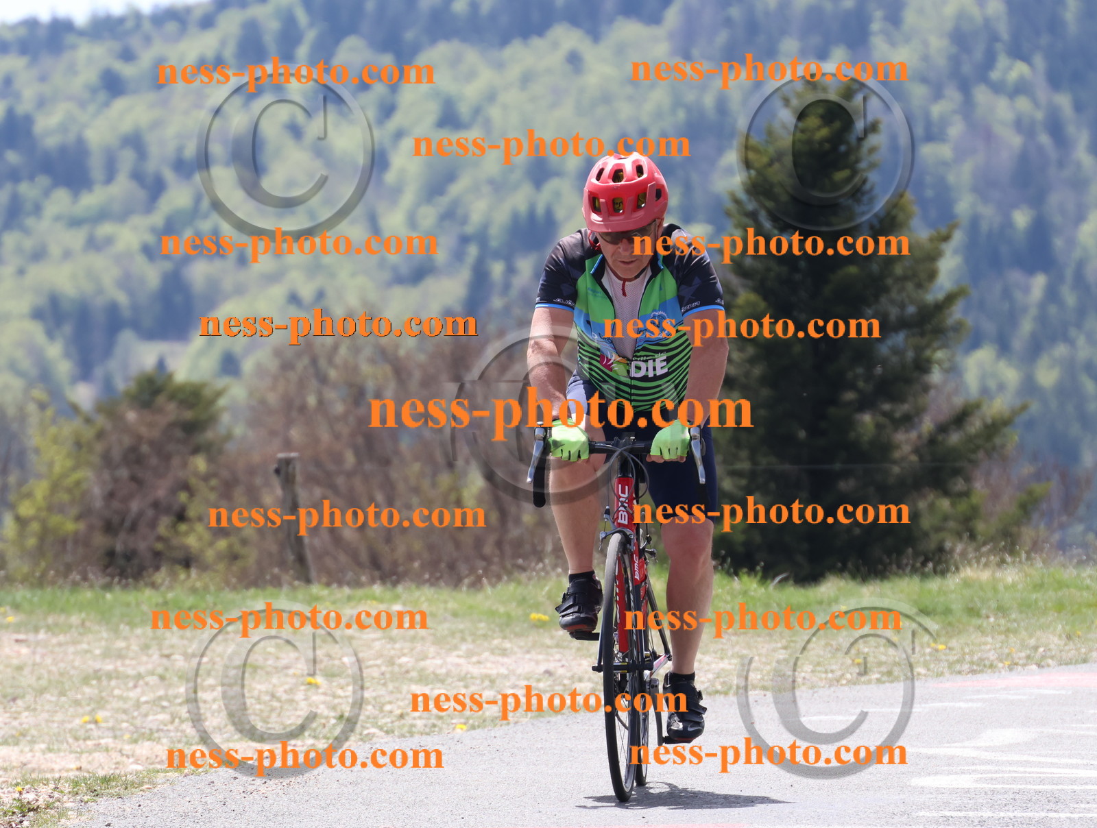 Col du Grand Colombier (224).JPG