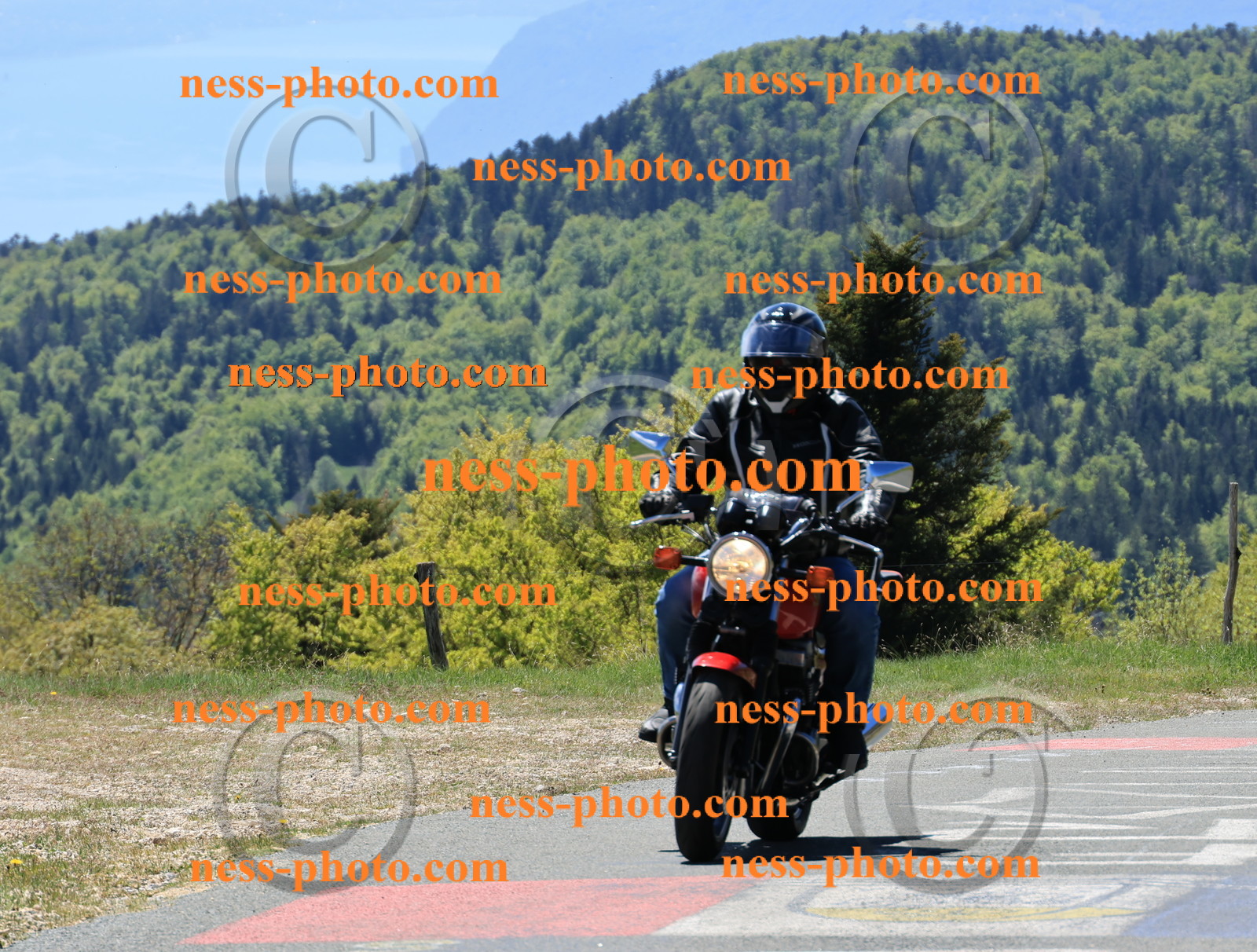 Col du Grand Colombier (78).JPG