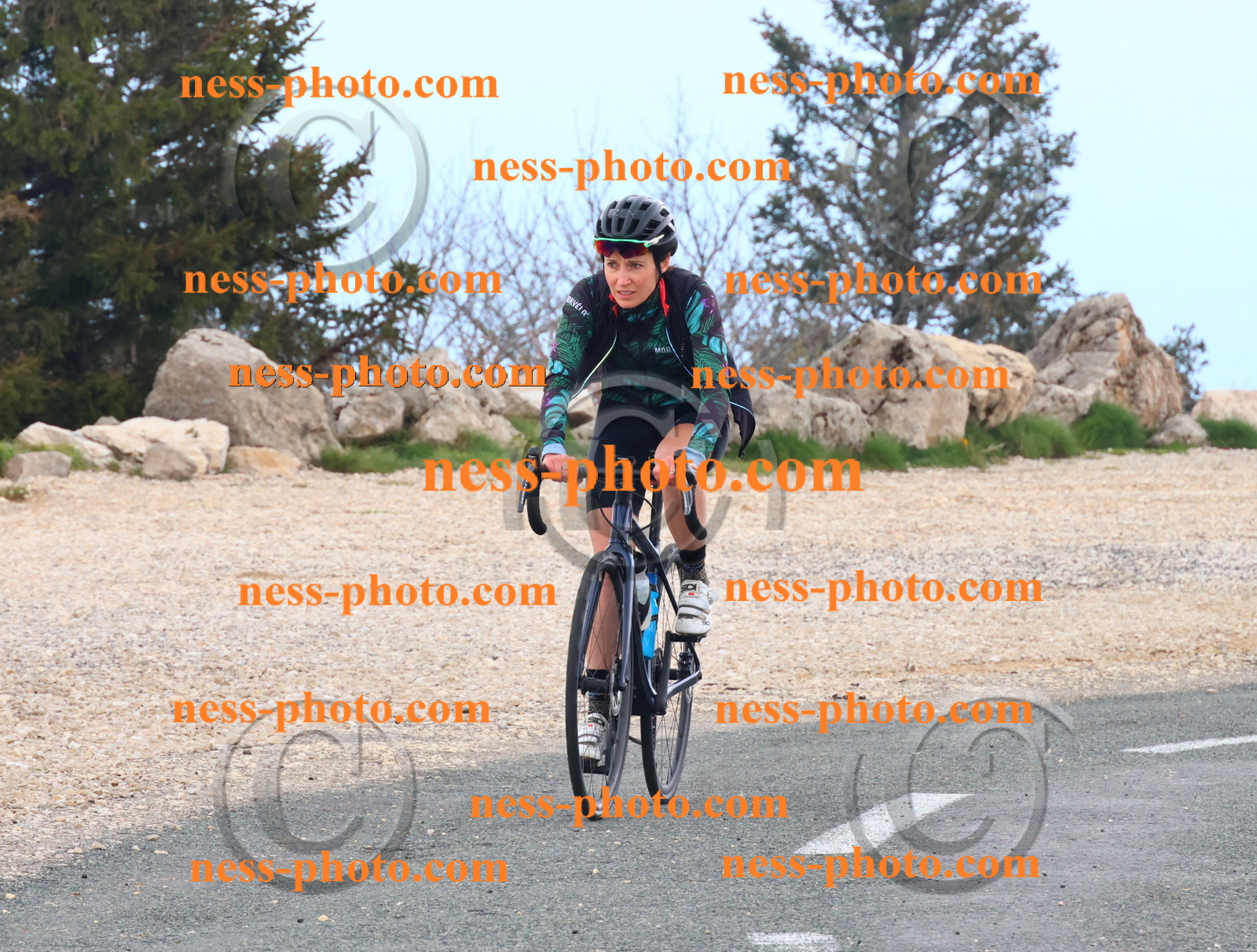 Col du Grand Colombier (301).JPG