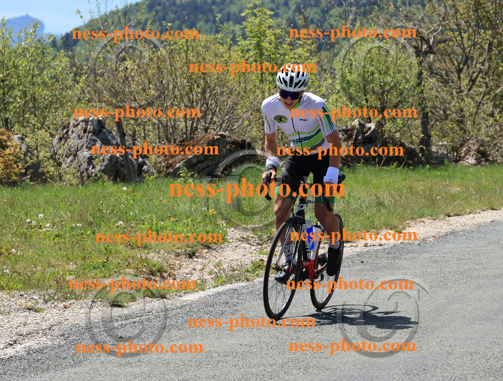 Col du Grand Colombier (3).JPG