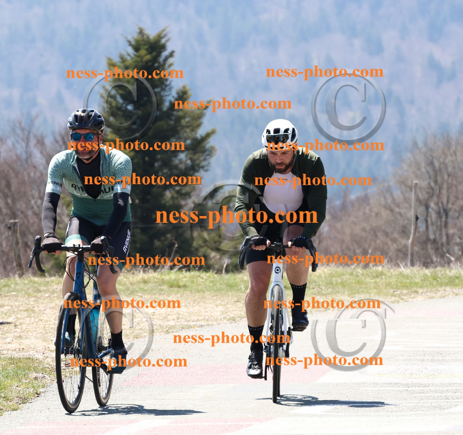 Col du Grand Colombier (148).JPG