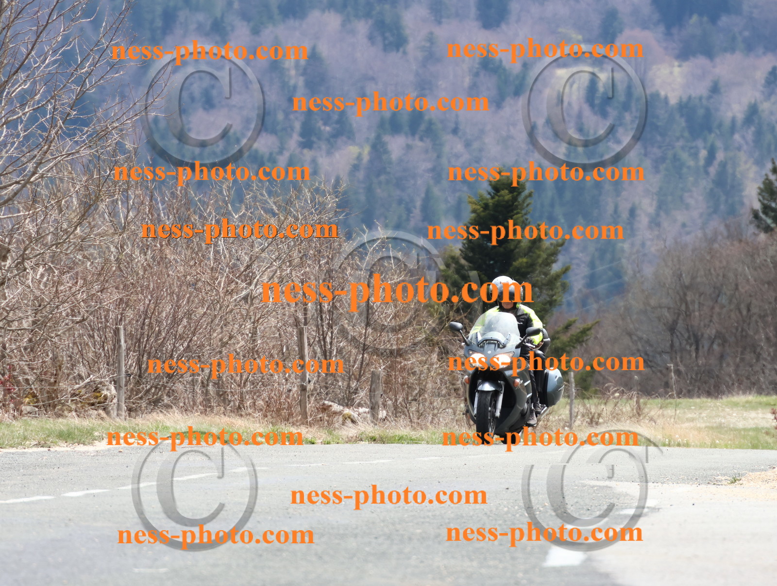 Col  du Grand Colombier (42).JPG