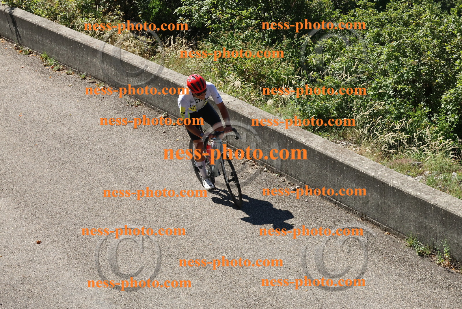 Col du Grand Colombier (216).JPG