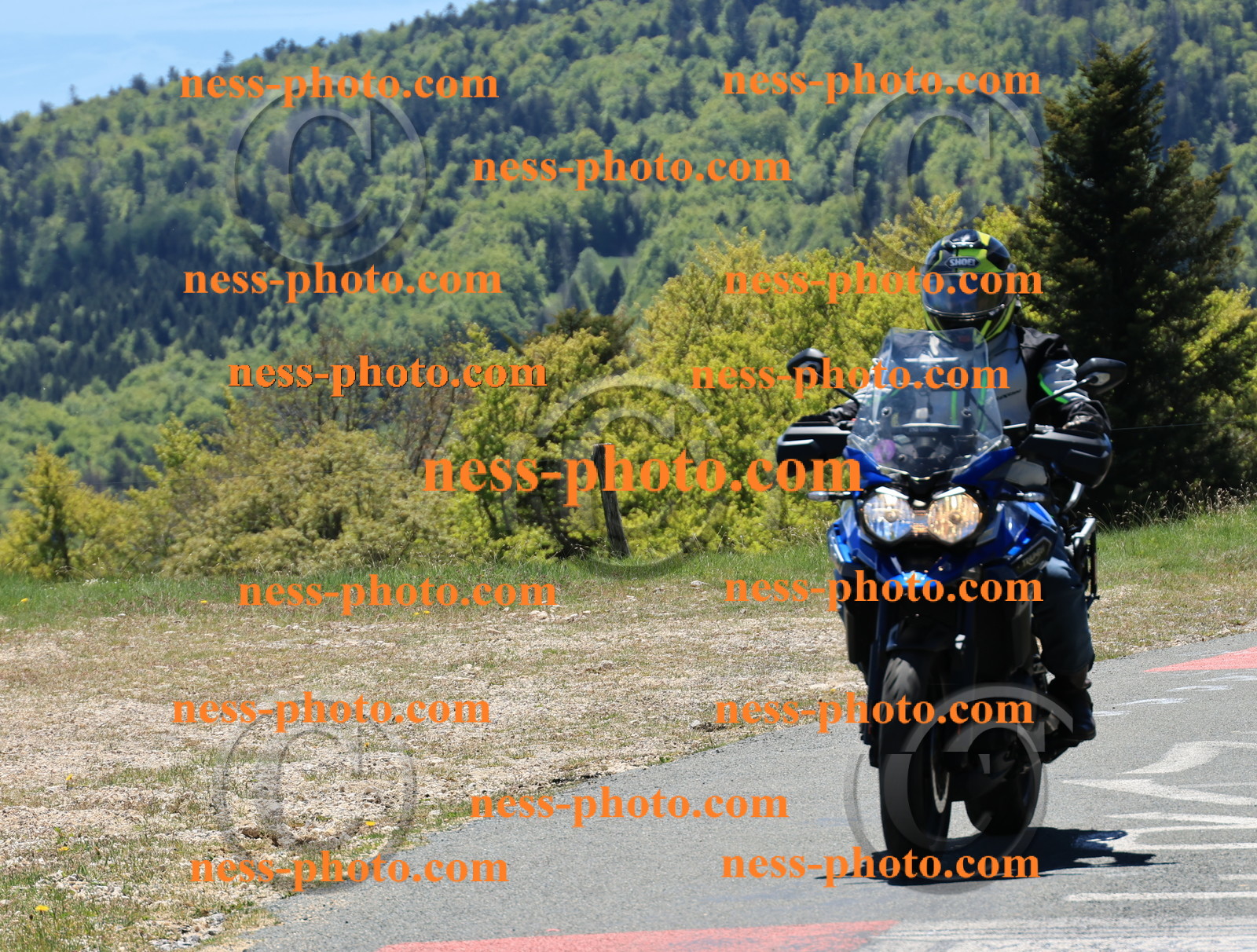 Col du Grand Colombier (170).JPG