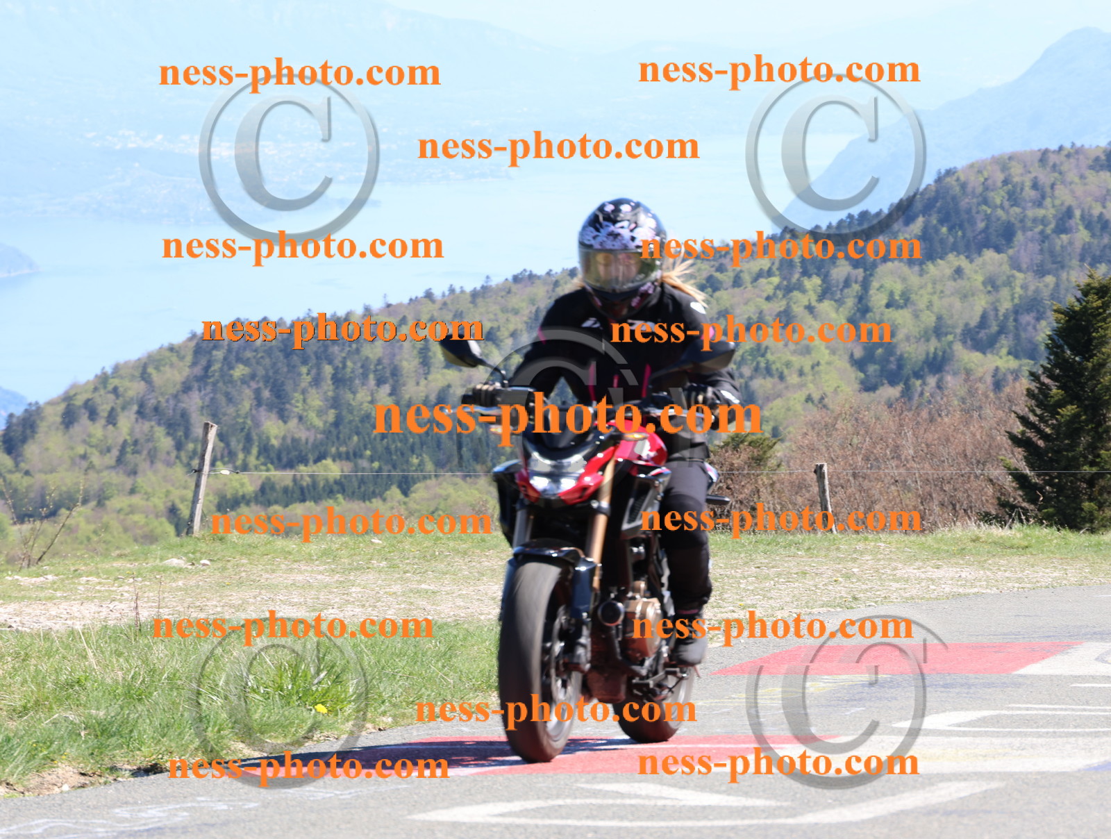 Col du Grand Colombier (341).JPG