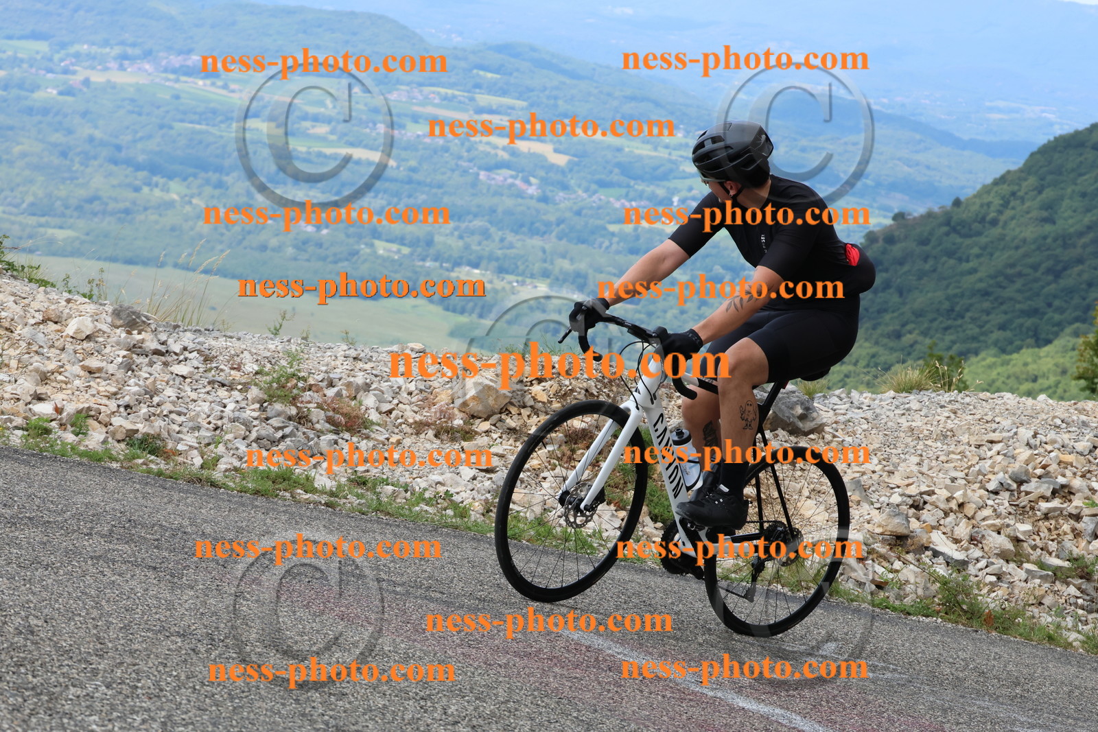 Col du Grand Colombier (215).JPG