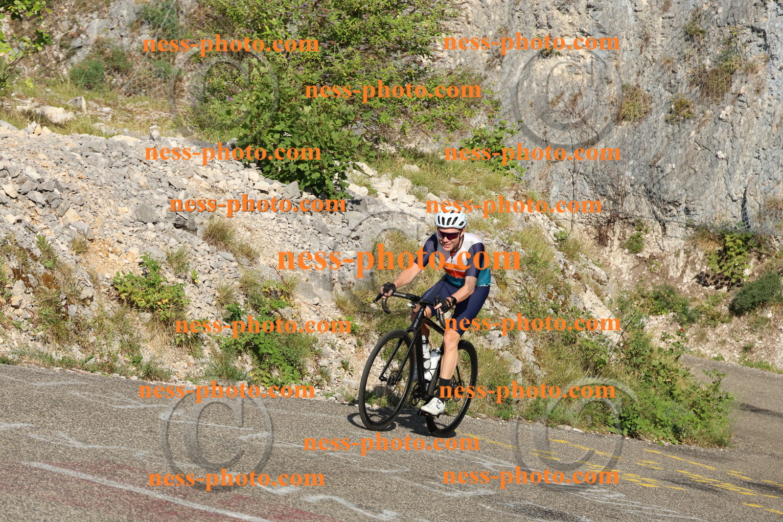 Col du Grand Colombier  (70).JPG