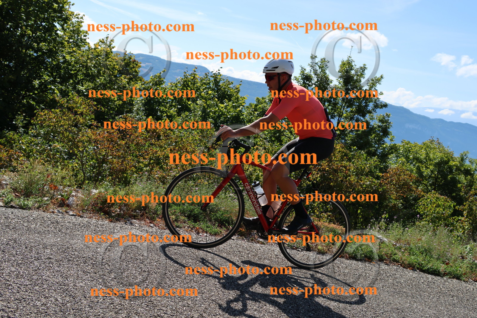 Col du Grand Colombier (81).JPG