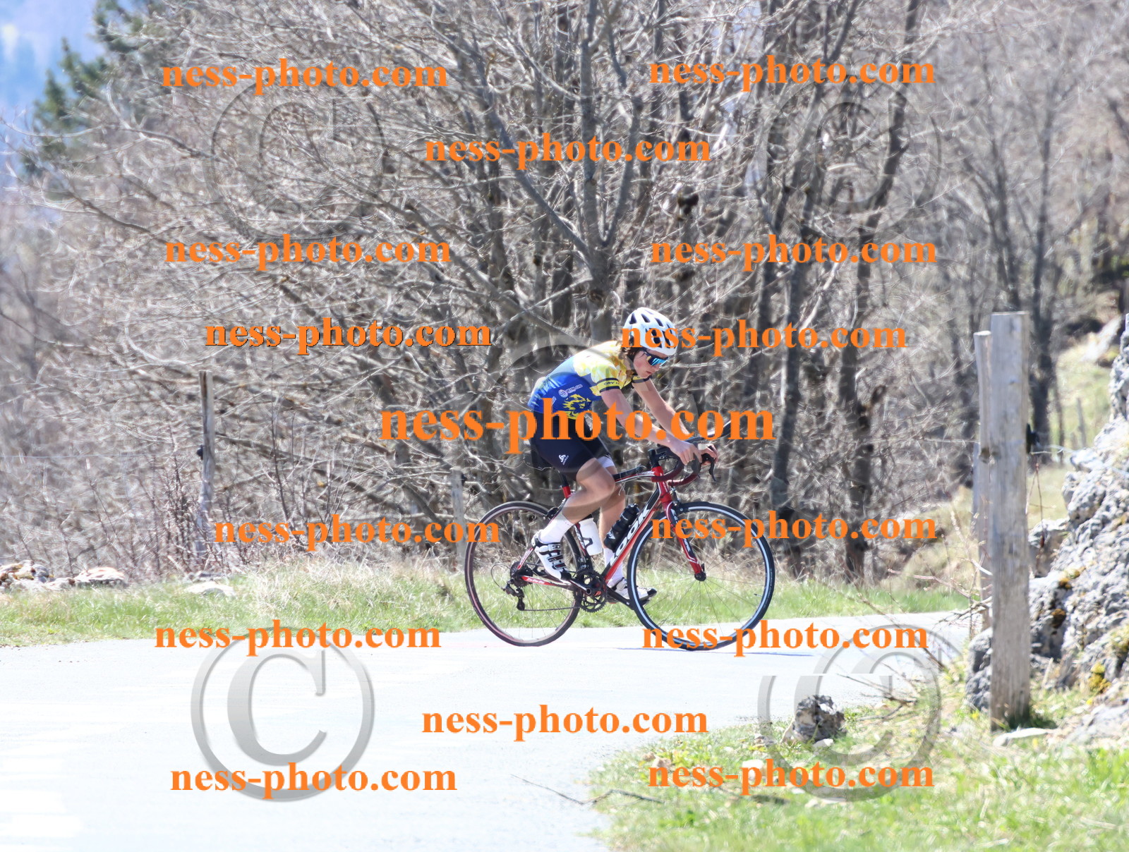 Col du Grand Colombier (97).JPG