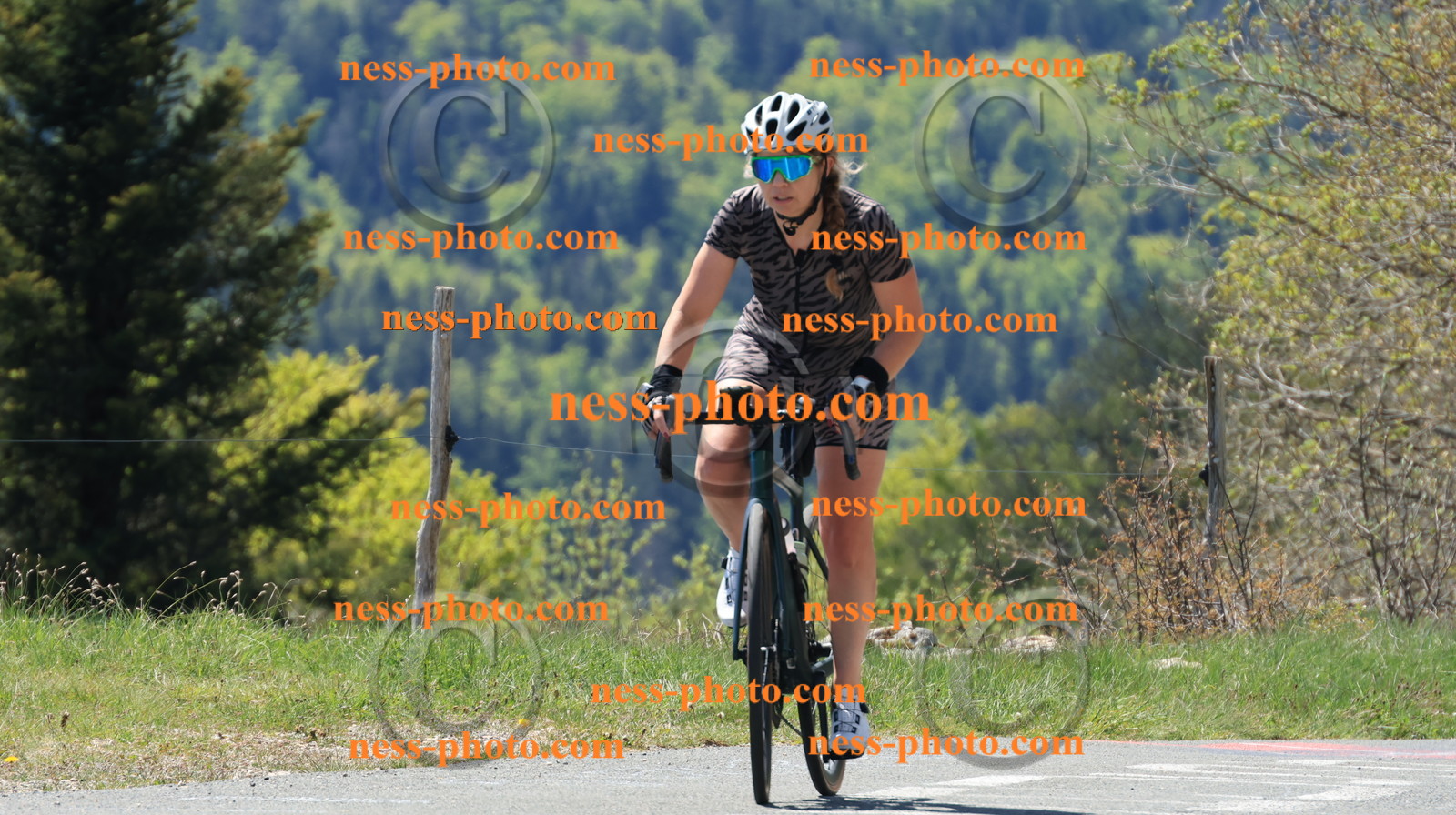 Col du grand Colombier (73).JPG