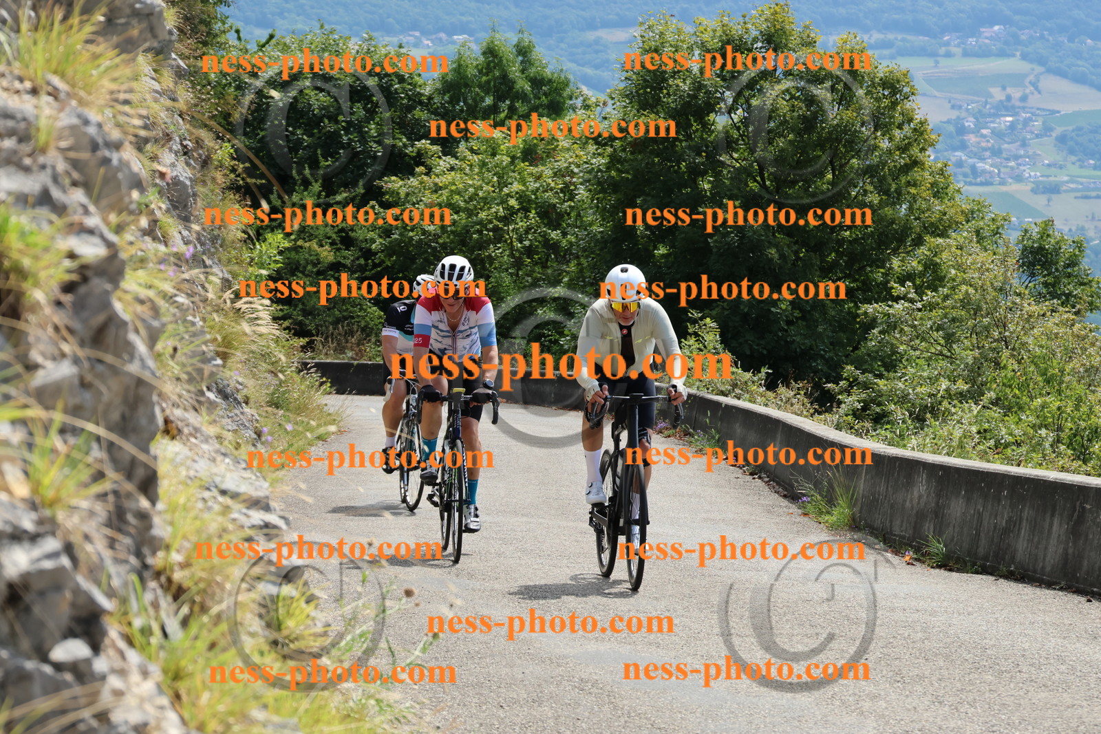 Col du Grand Colombier (266).JPG