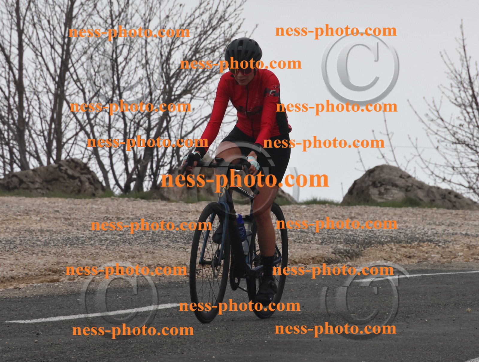 Col du Grand Colombier (36).JPG