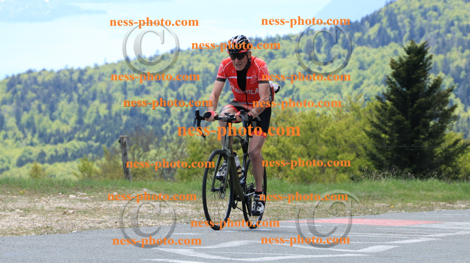 Col du grand Colombier (307).JPG