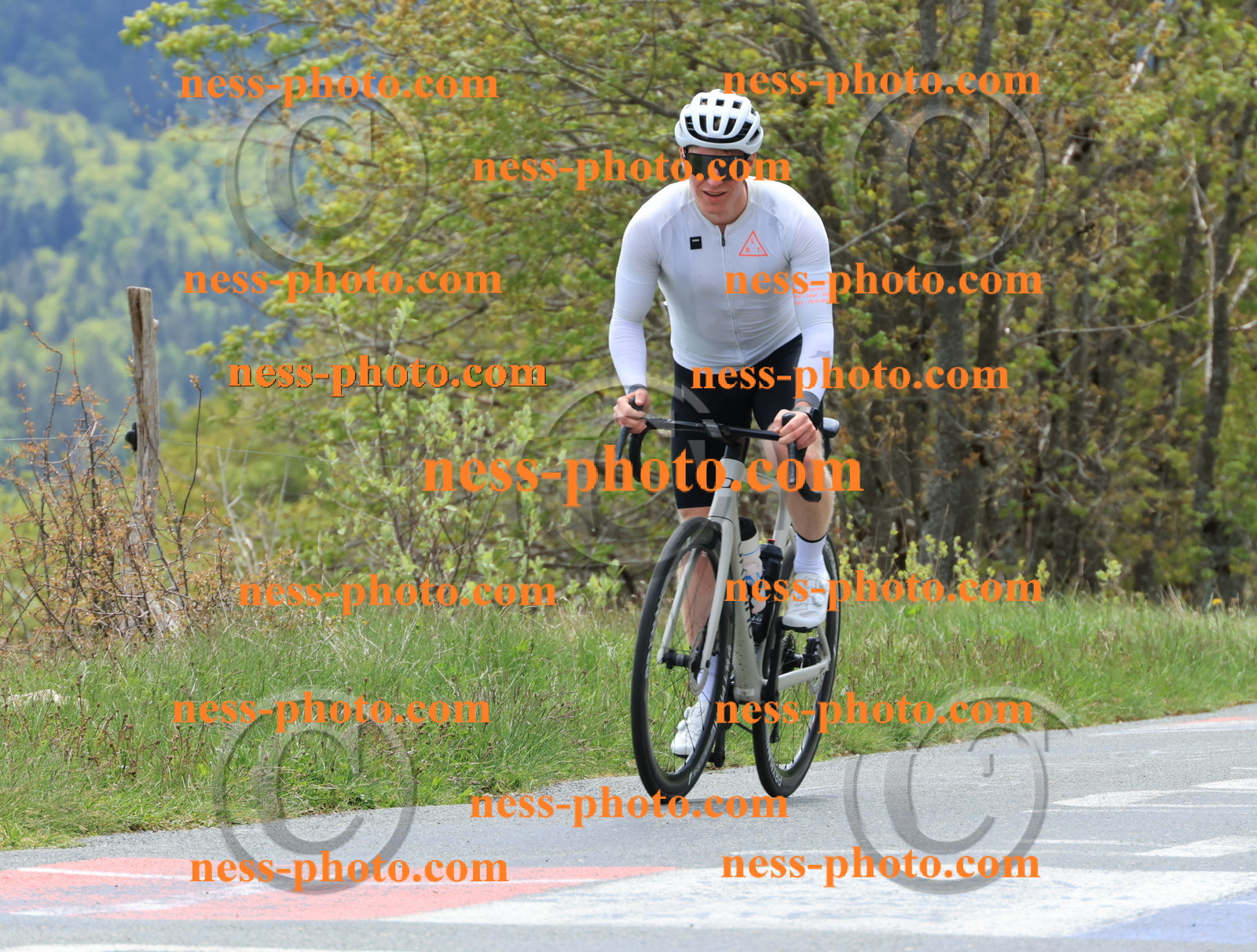 Col du Grand Colombier (458).JPG