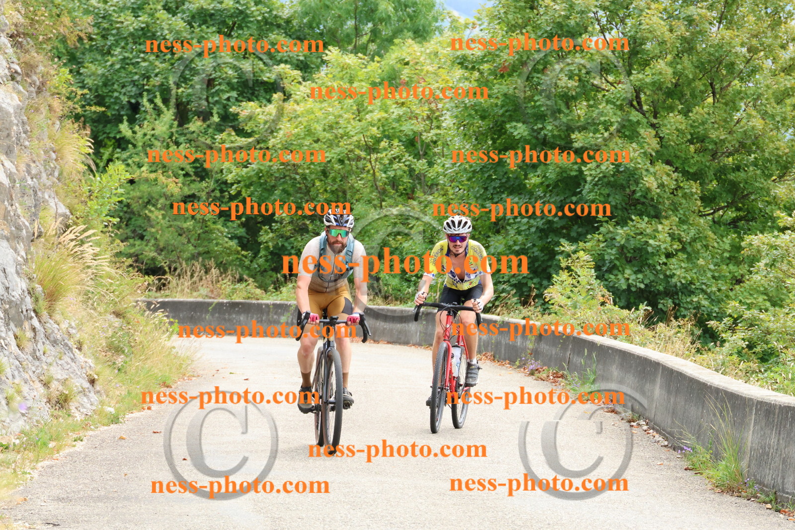 Col du Grand Colombier (120).JPG
