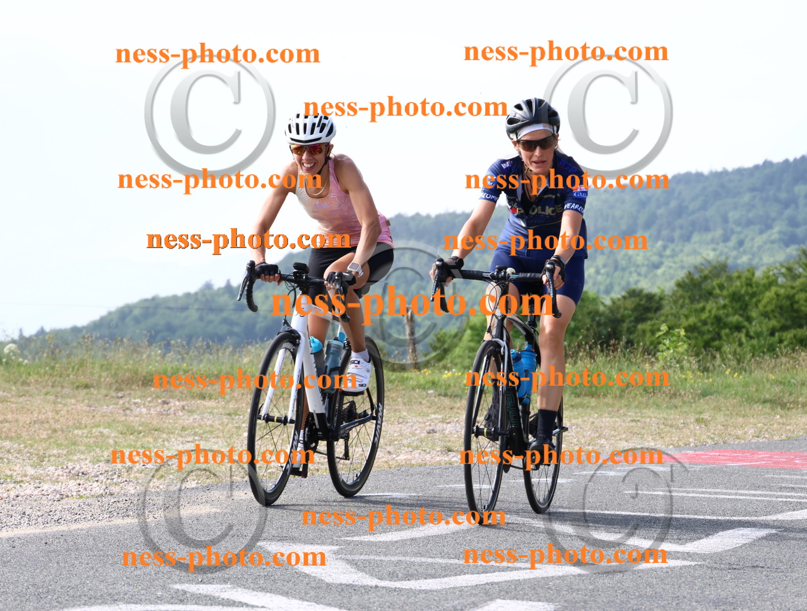 Col du grand Colombier (101).JPG