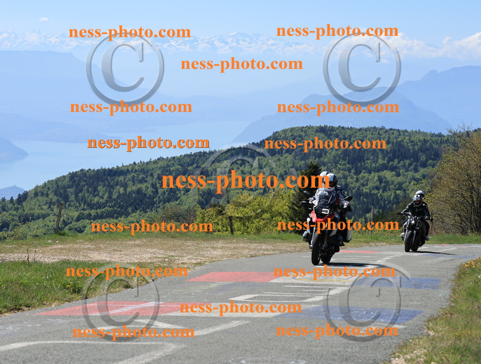 Col du Grand Colombier (42).JPG