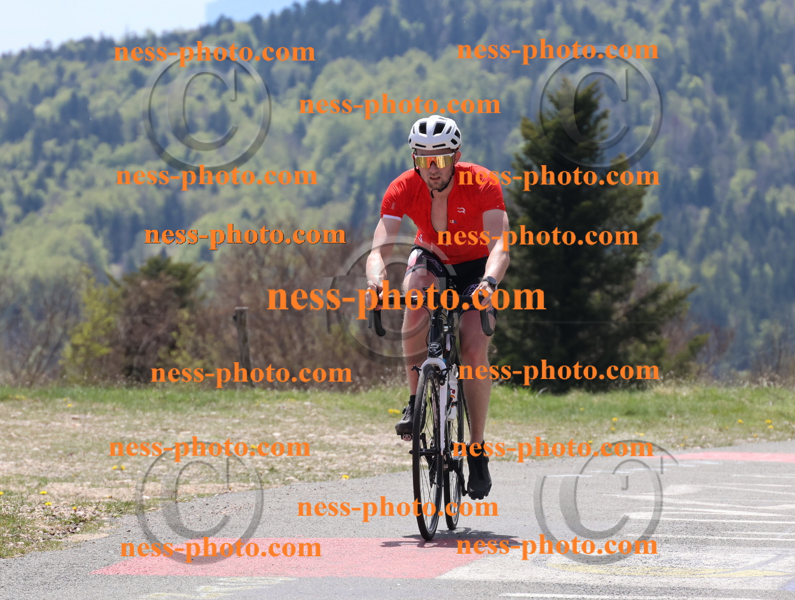 Col du Grand Colombier (297).JPG