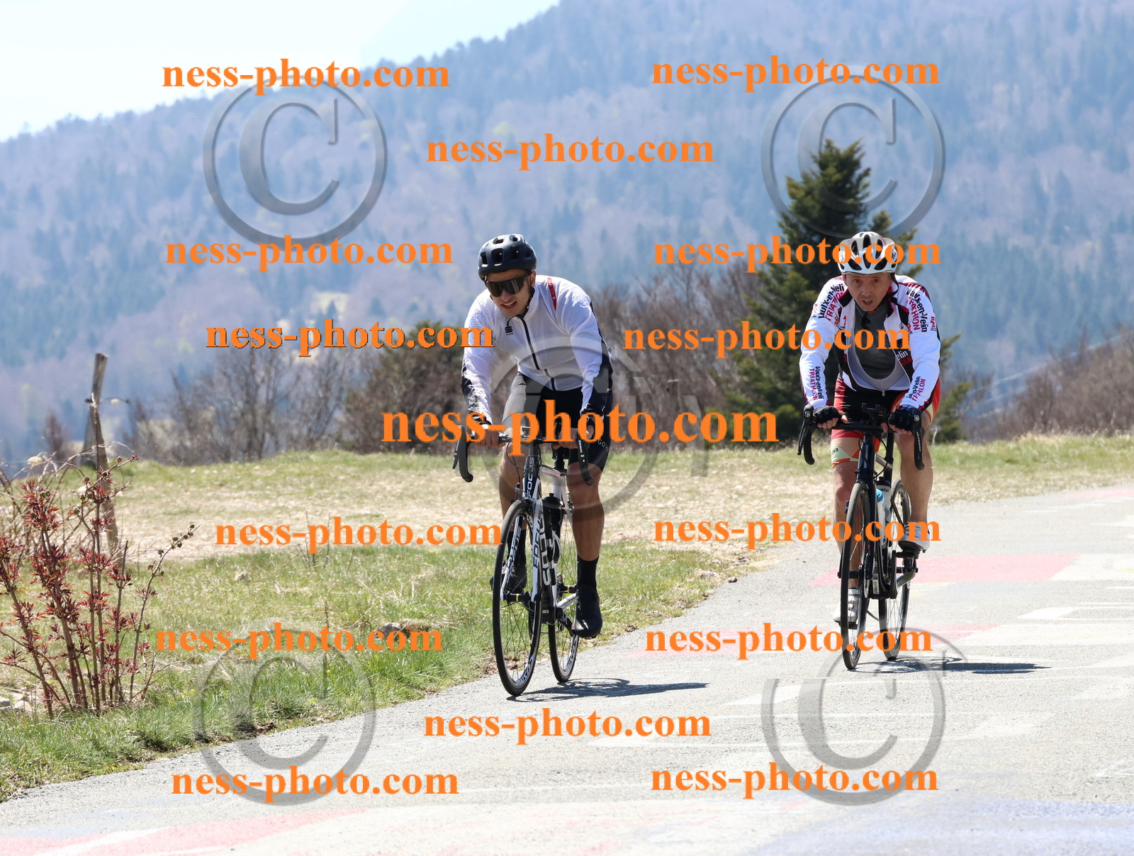 Col du Grand Colombier (136).JPG