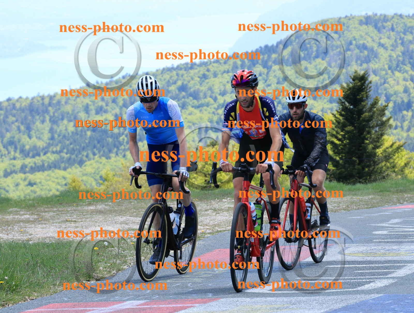 Col du Grand Colombier (477).JPG