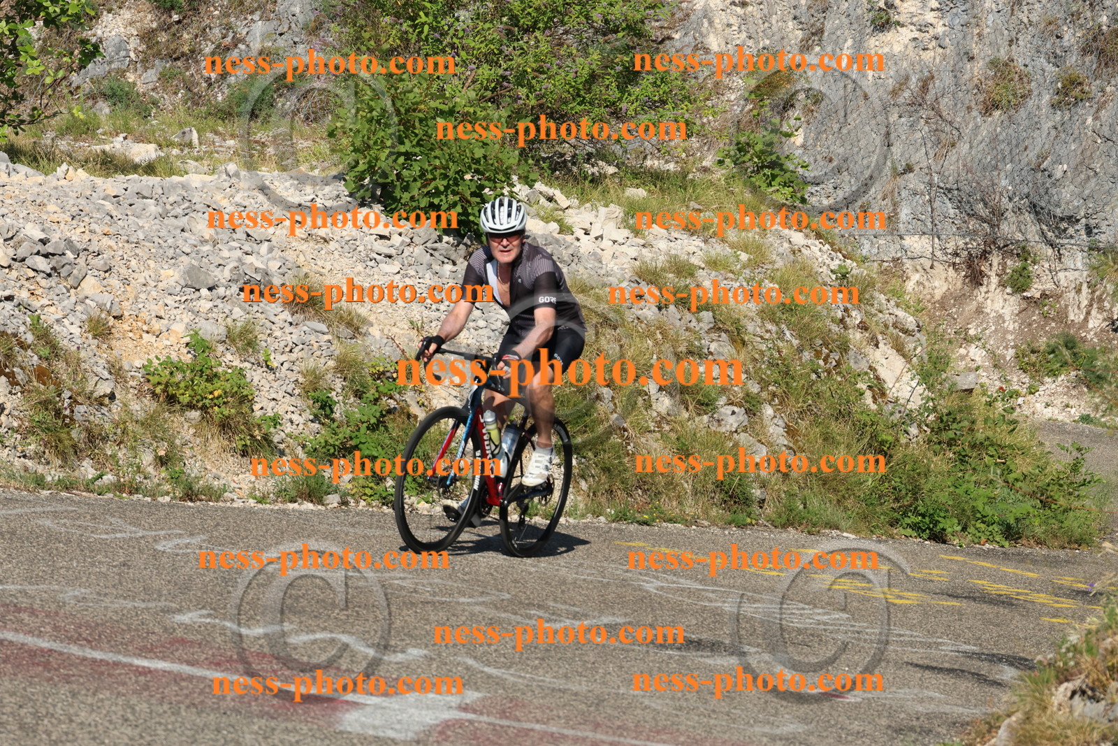 Col du Grand Colombier (80).JPG