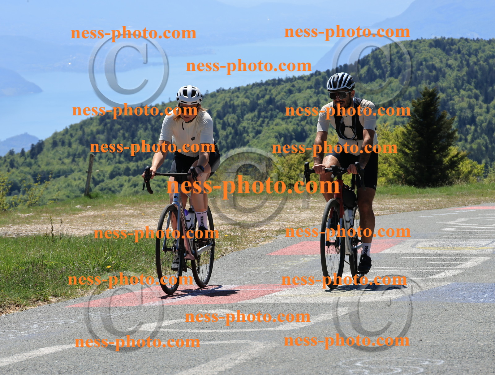 Col du Grand Colombier (238).JPG