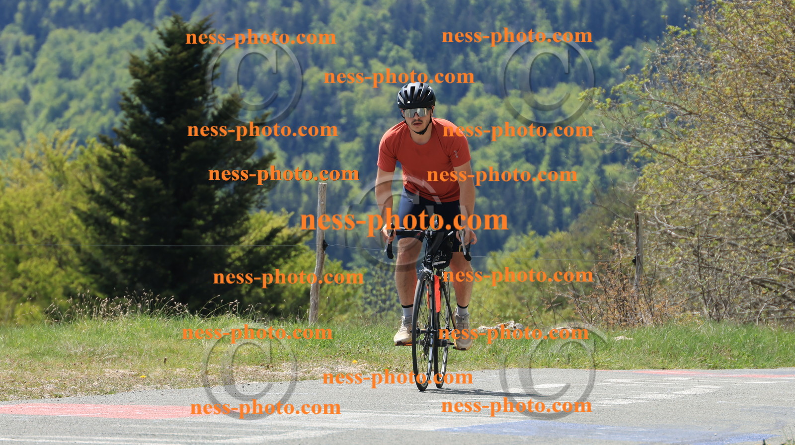 Col du grand Colombier (132).JPG