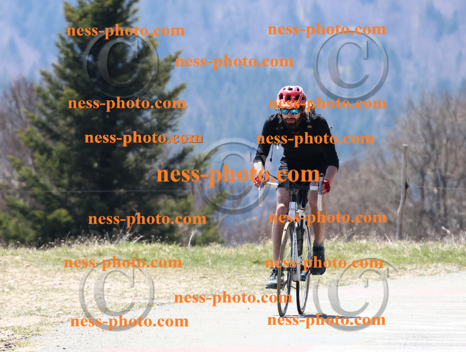 Col du Grand Colombier (202).JPG