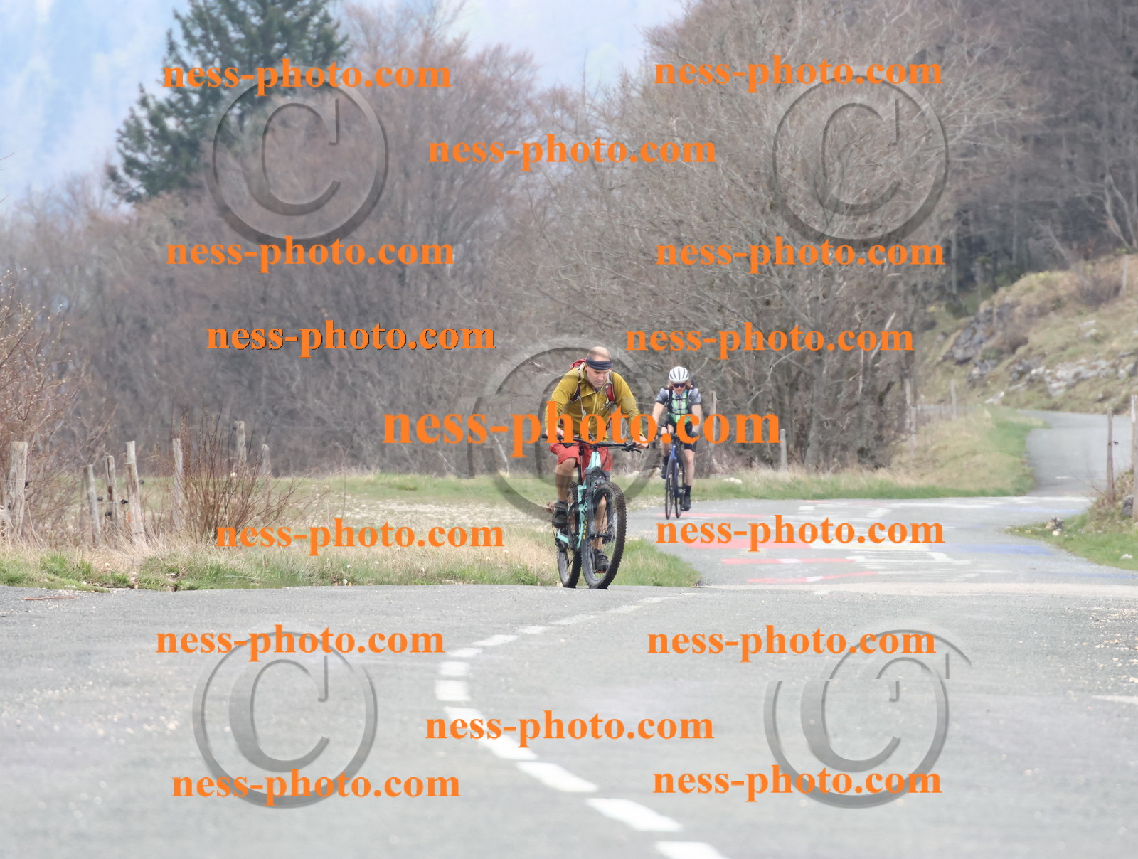 Col du Grand Colombier (76).JPG