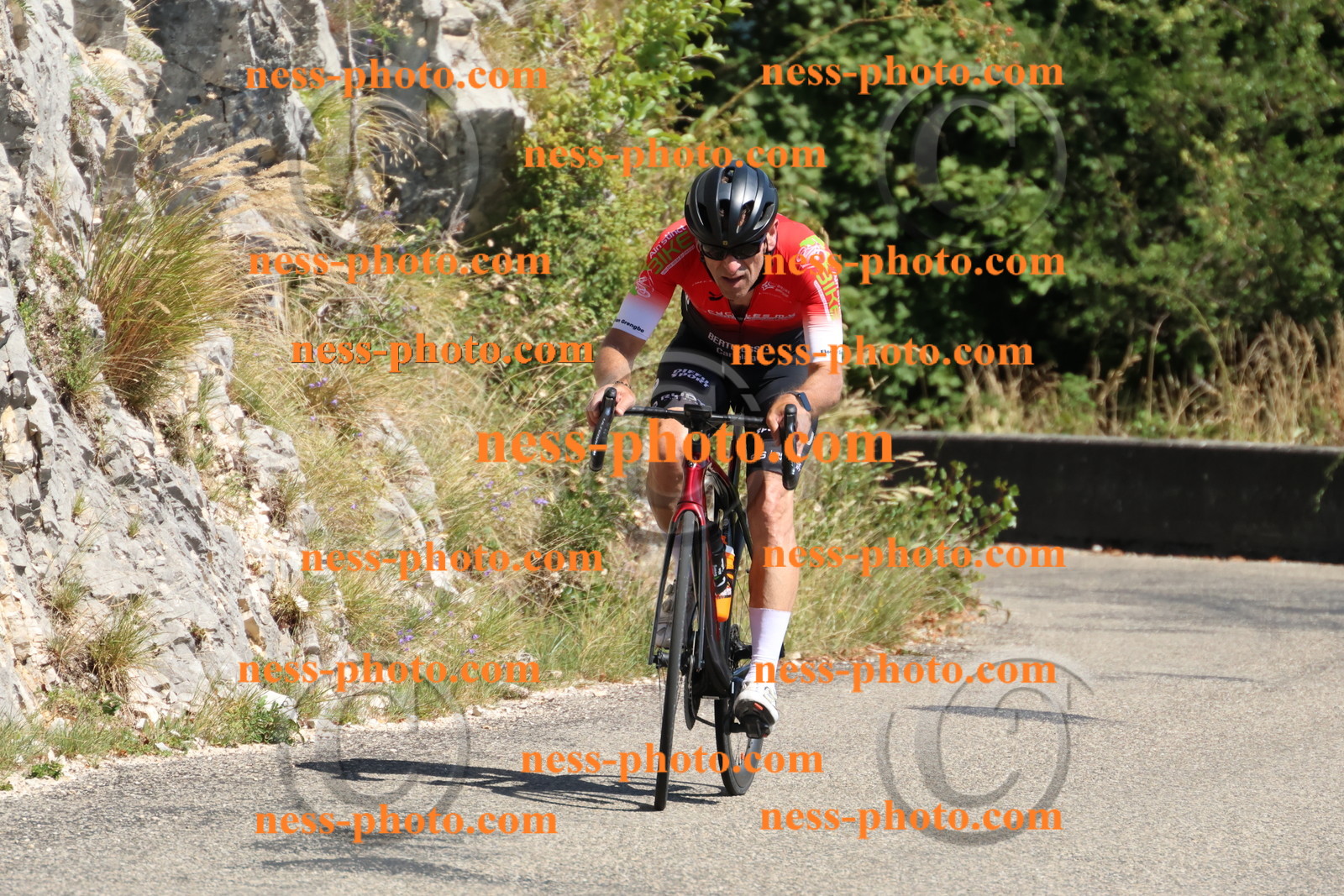 Col du Grand Colombier (658).JPG