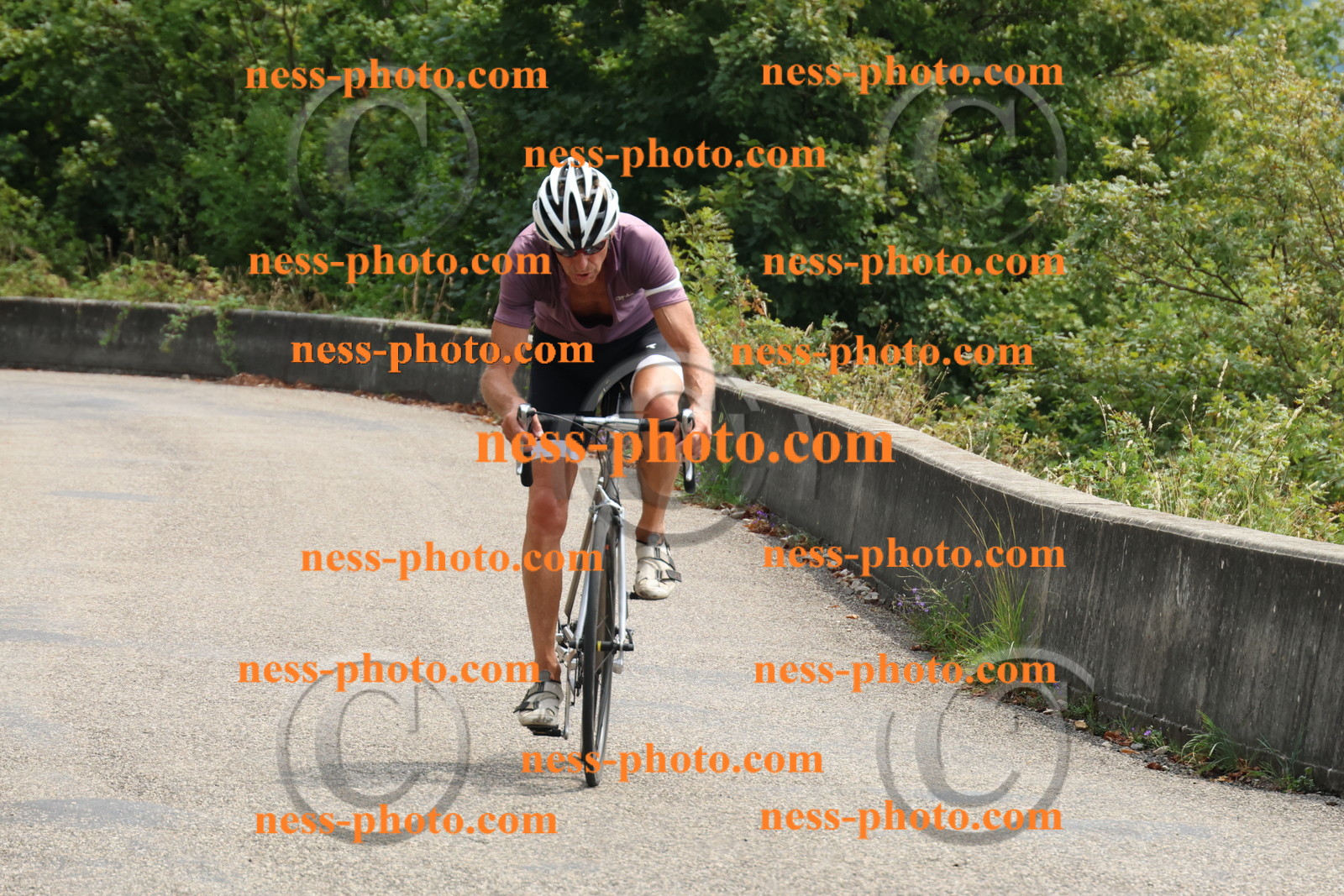 Col du Grand Colombier (278).JPG