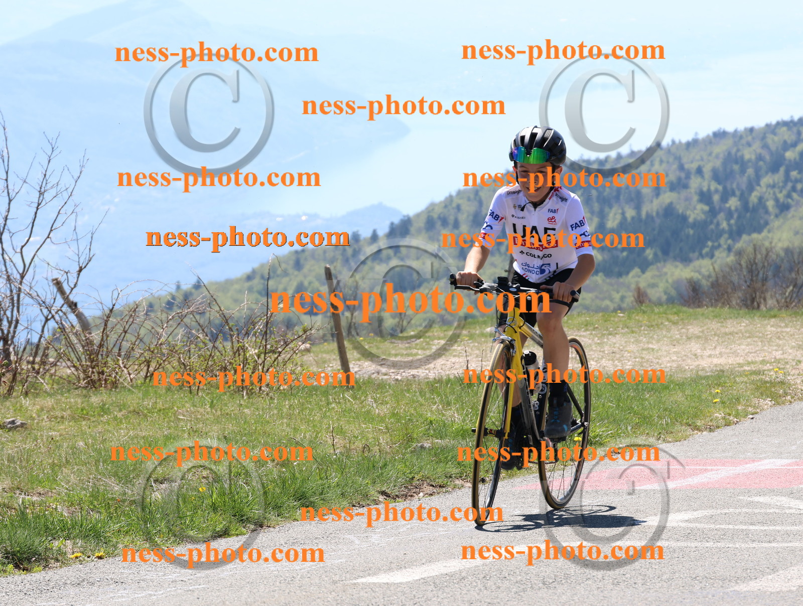 Col du Grand Colombier (326).JPG