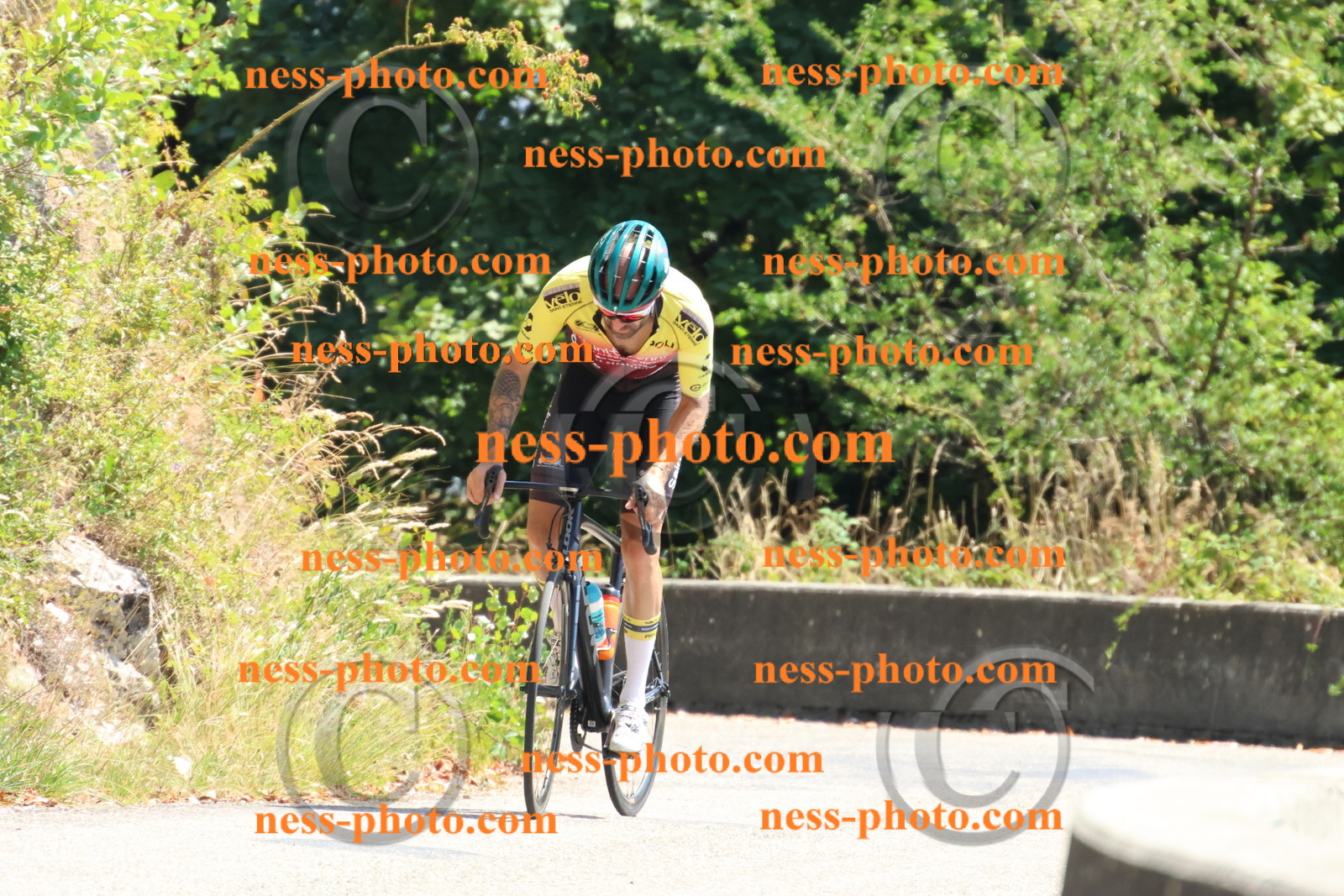 Col du Grand Colombier (444).JPG