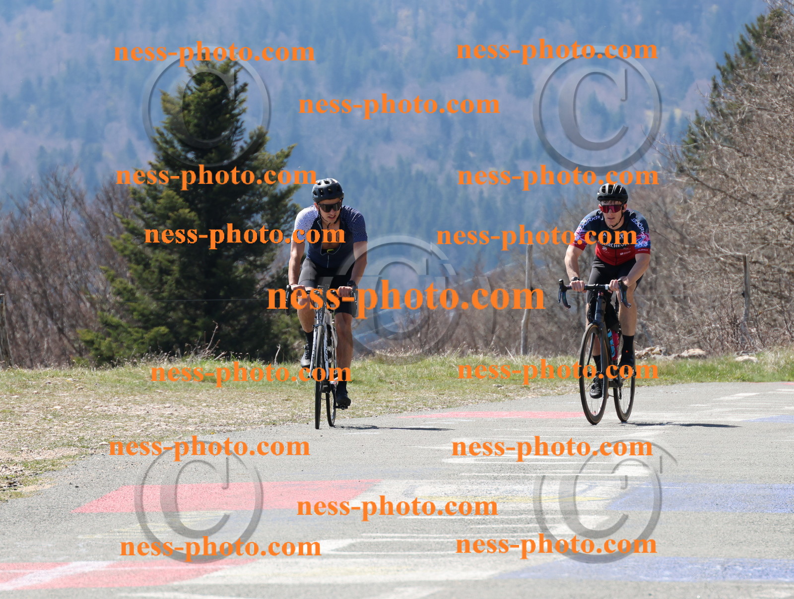 Col du Grand Colombier (78).JPG