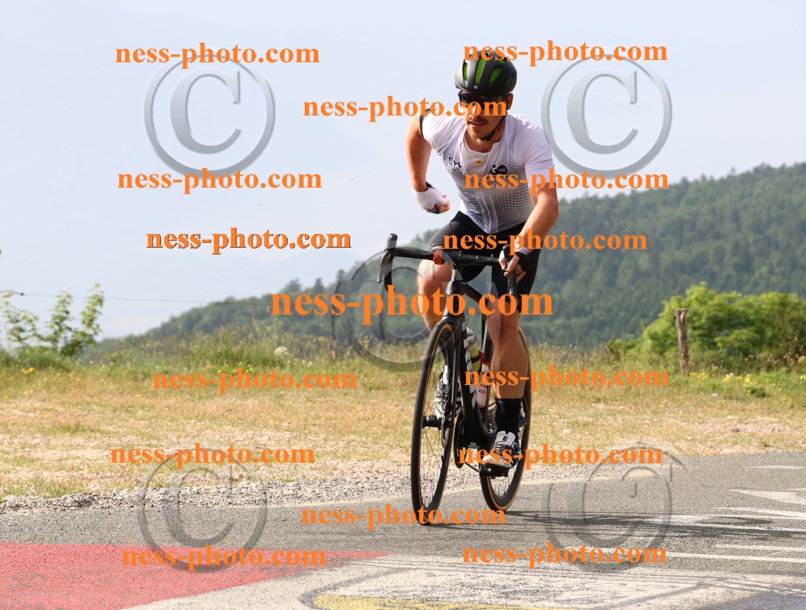 Col du grand Colombier (63).JPG