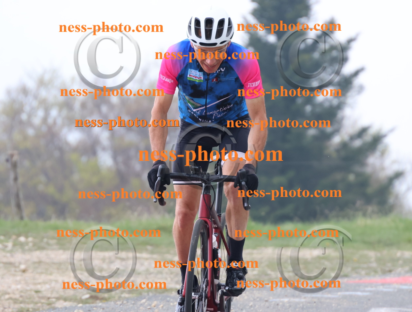 Col du Grand Colombier (74).JPG