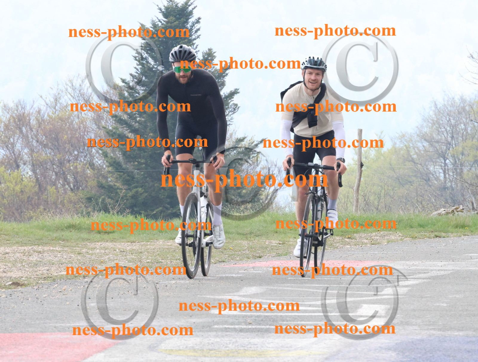 Col du Grand Colombier (137).JPG