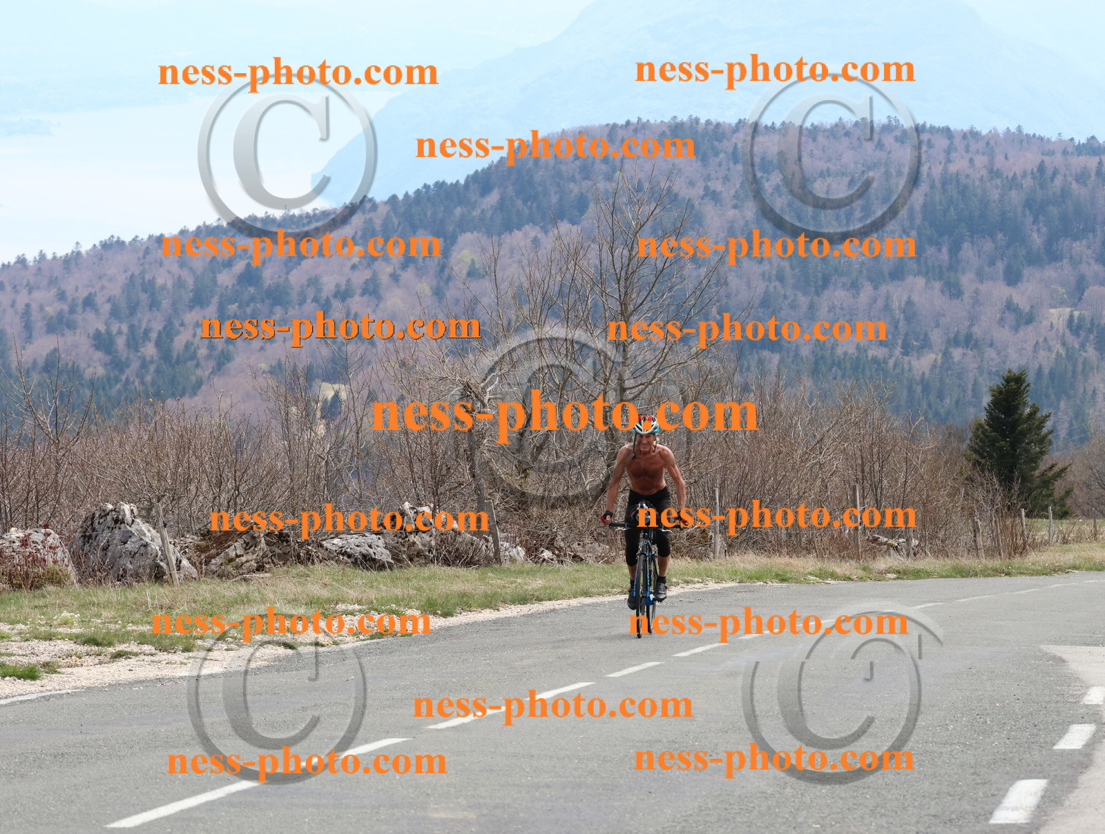 Col du Grand Colombier (381).JPG