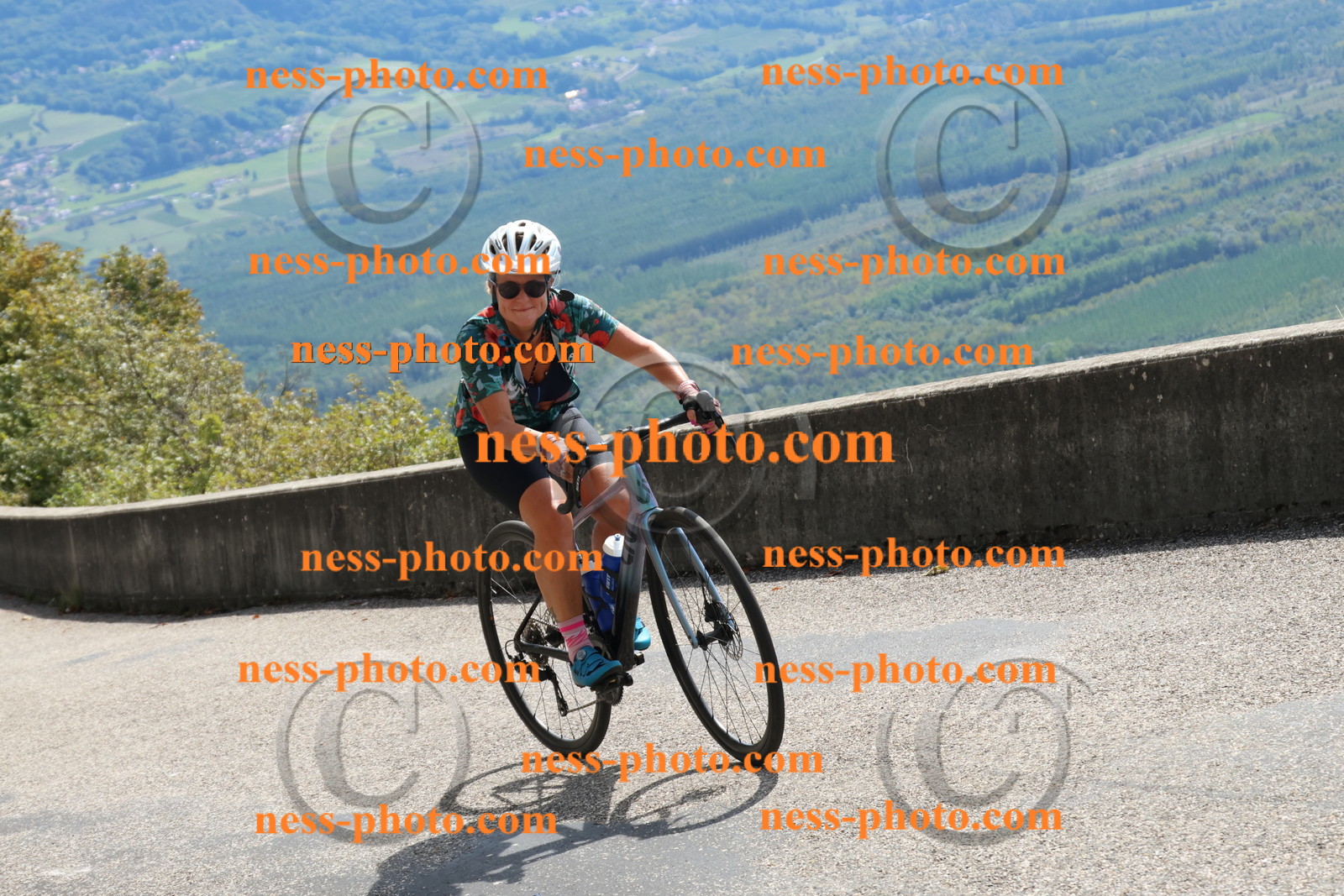 Col du Grand Colombier (491).JPG