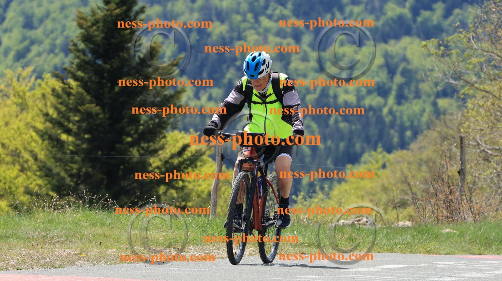 Col du grand Colombier (105).JPG